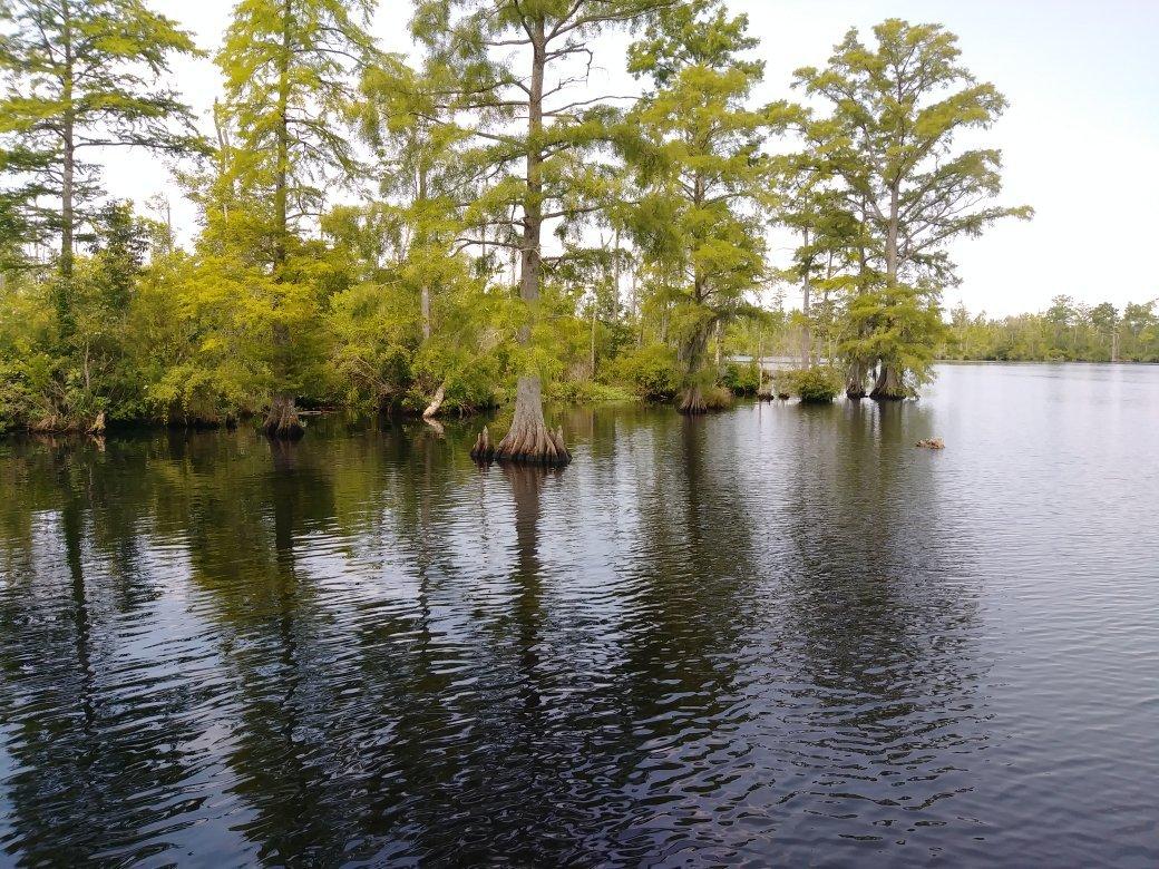 Pocosin Lakes National Wildlife Refuge