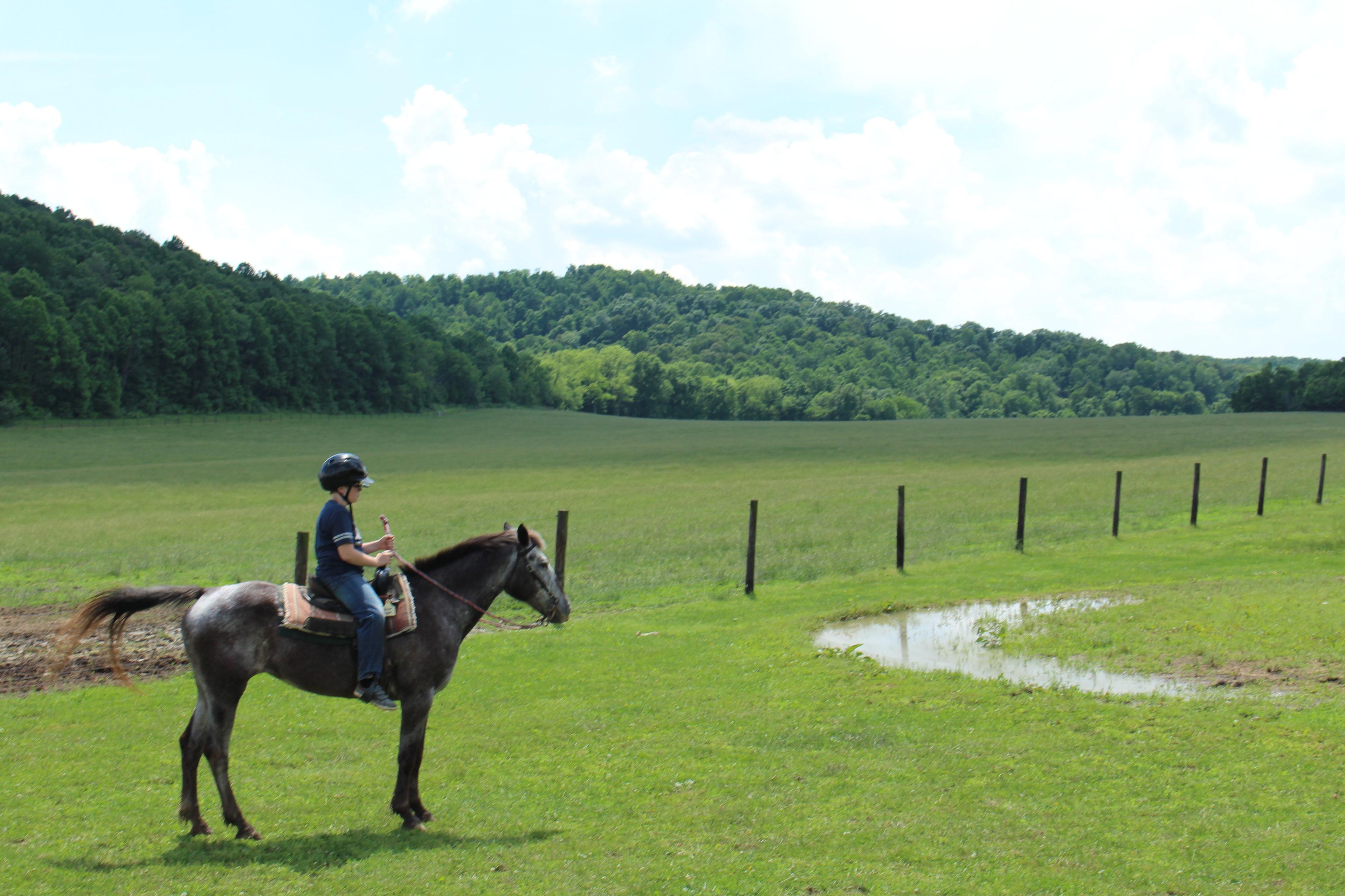 The Spotted Horse Ranch