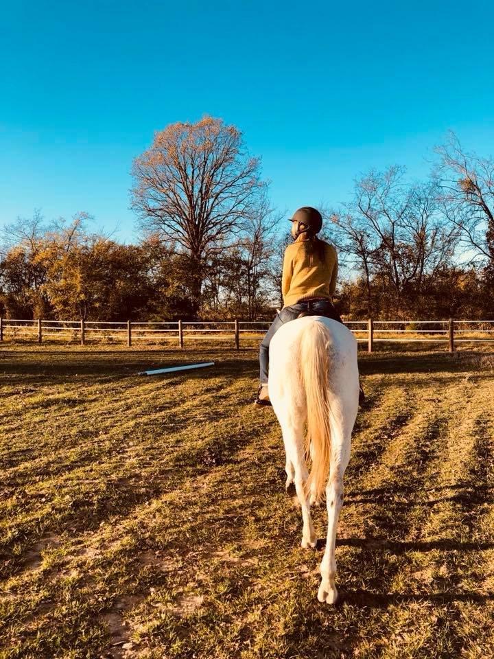 Lake Fork Stables