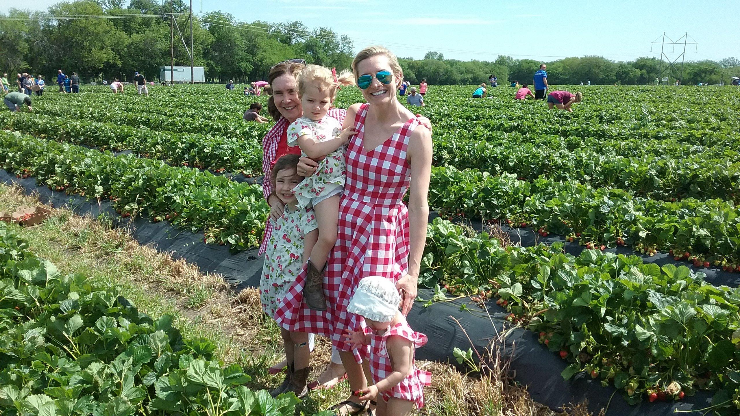 Gieringer's Family Orchard & Berry Farm