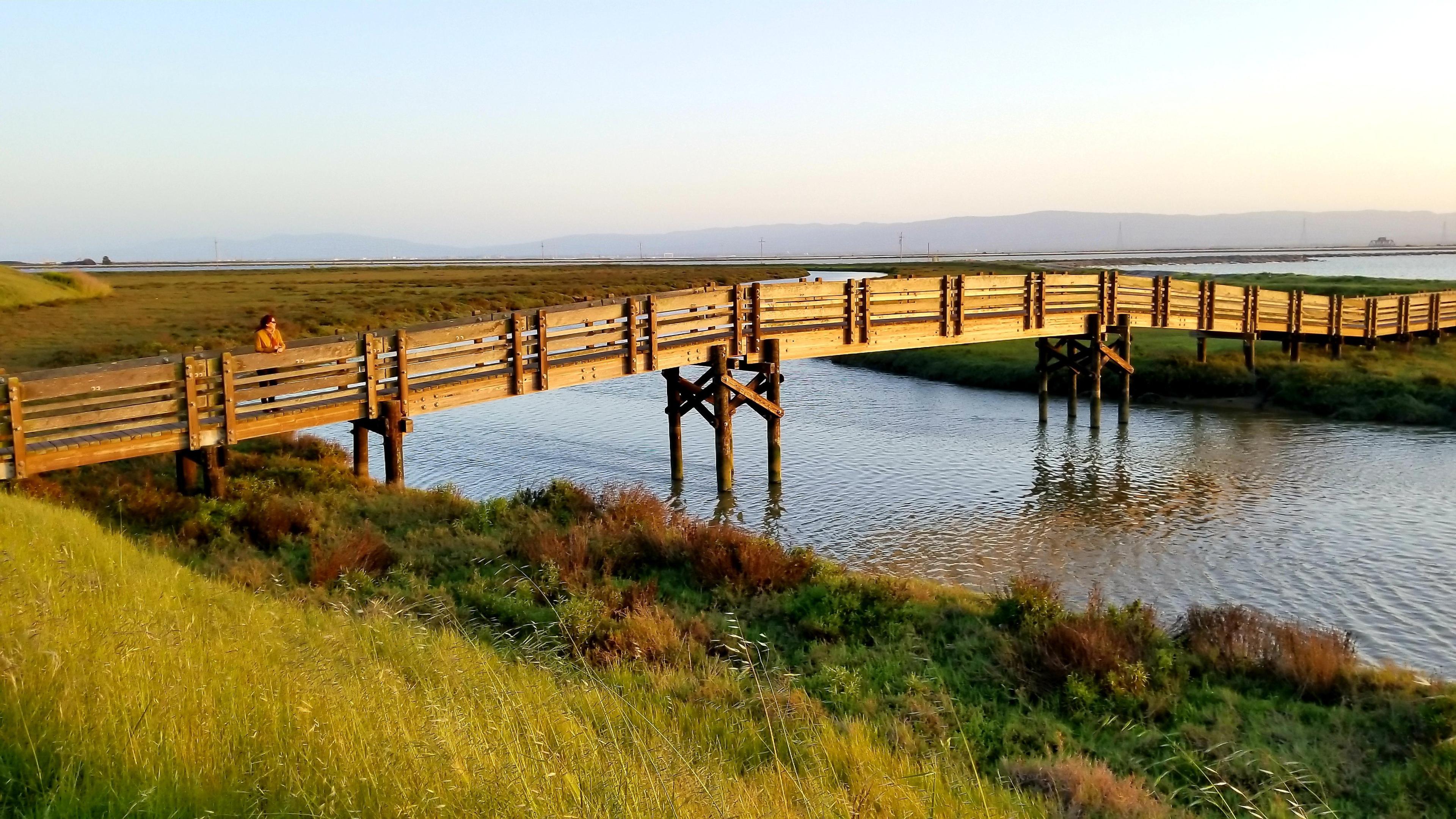 Don Edwards San Francisco National Wildlife Refuge