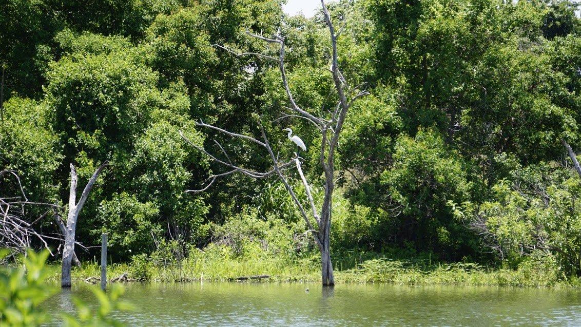 Waco Lake