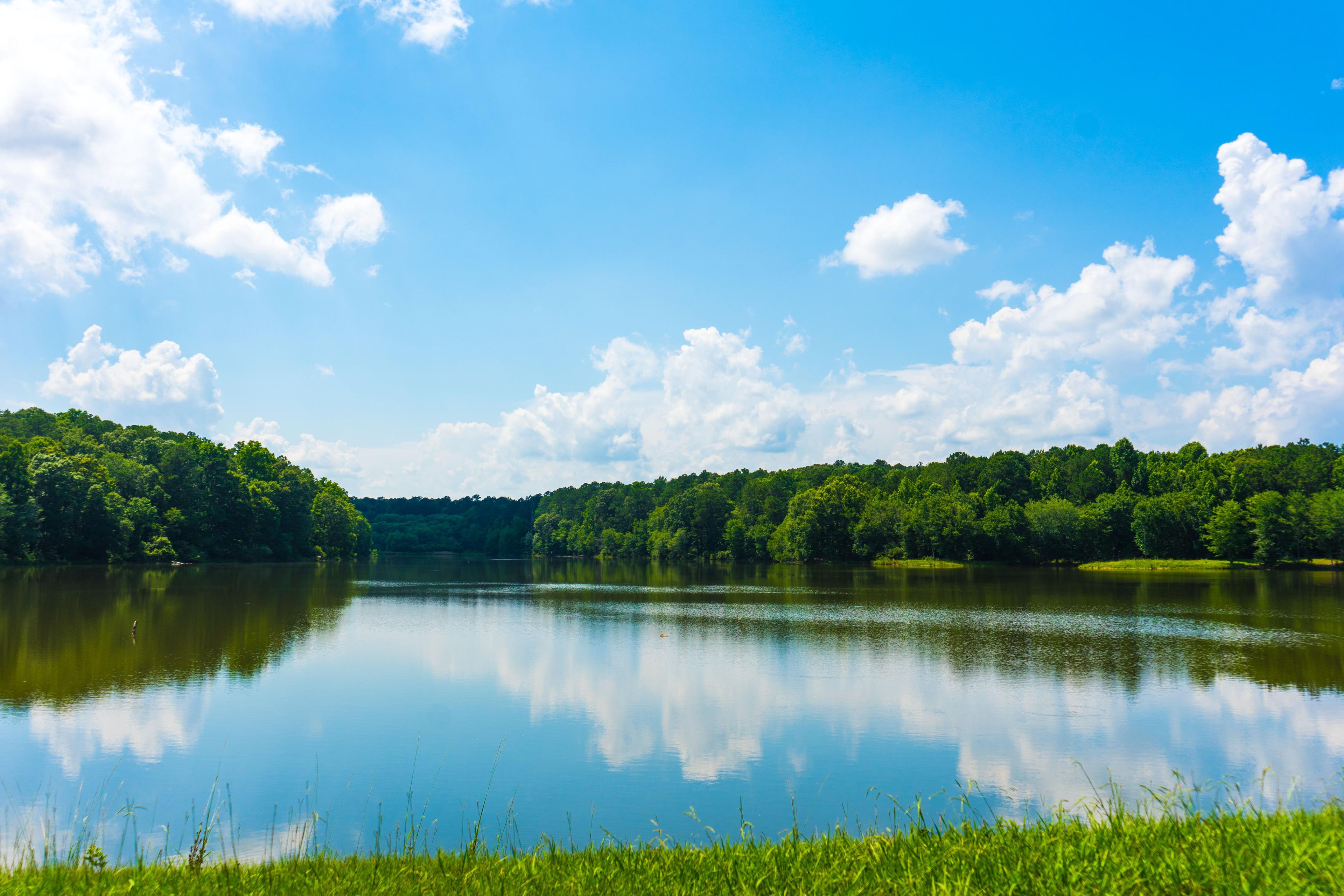 Charlie Elliott Wildlife Center