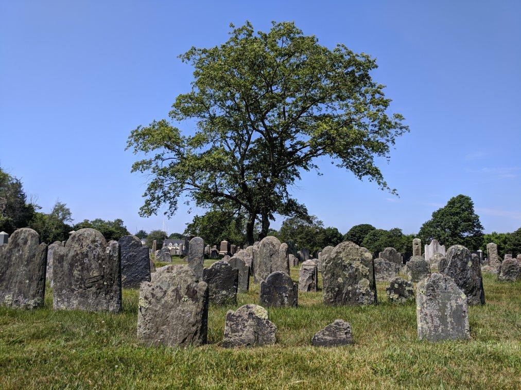 Newport Island Cemetery