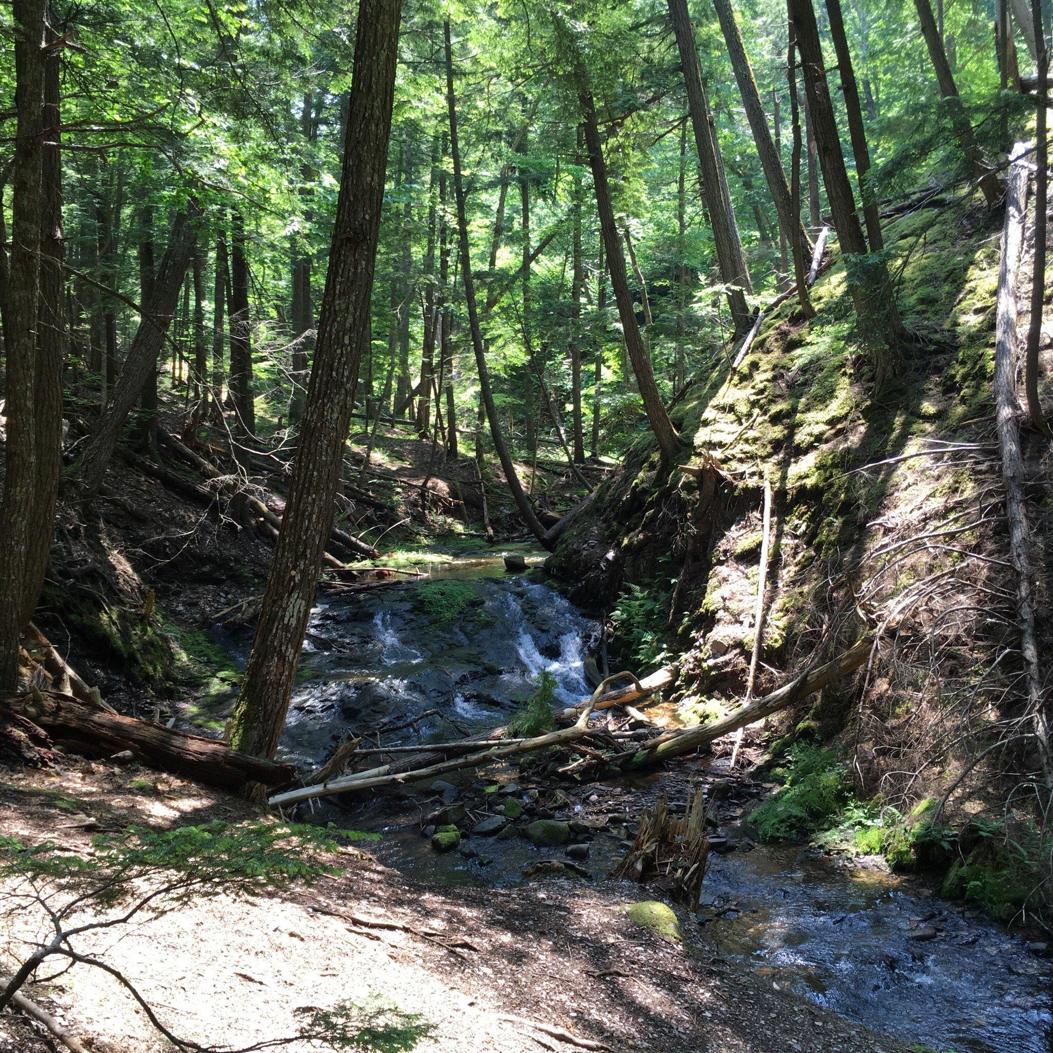 Ravine Trail