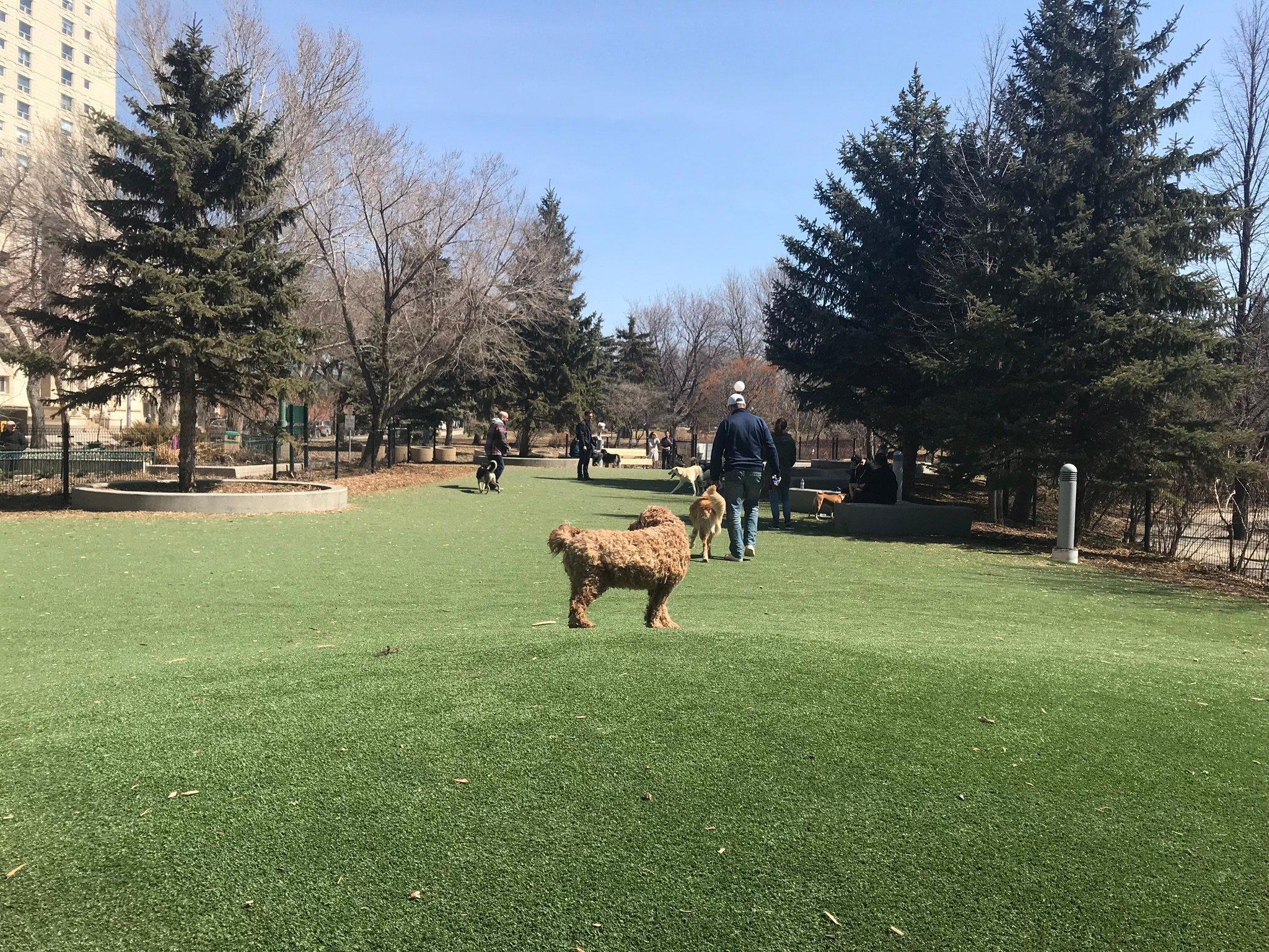 Bonnycastle Dog Park