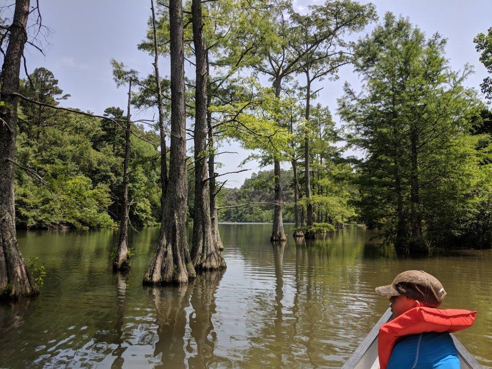 Beavers Bend River Floats