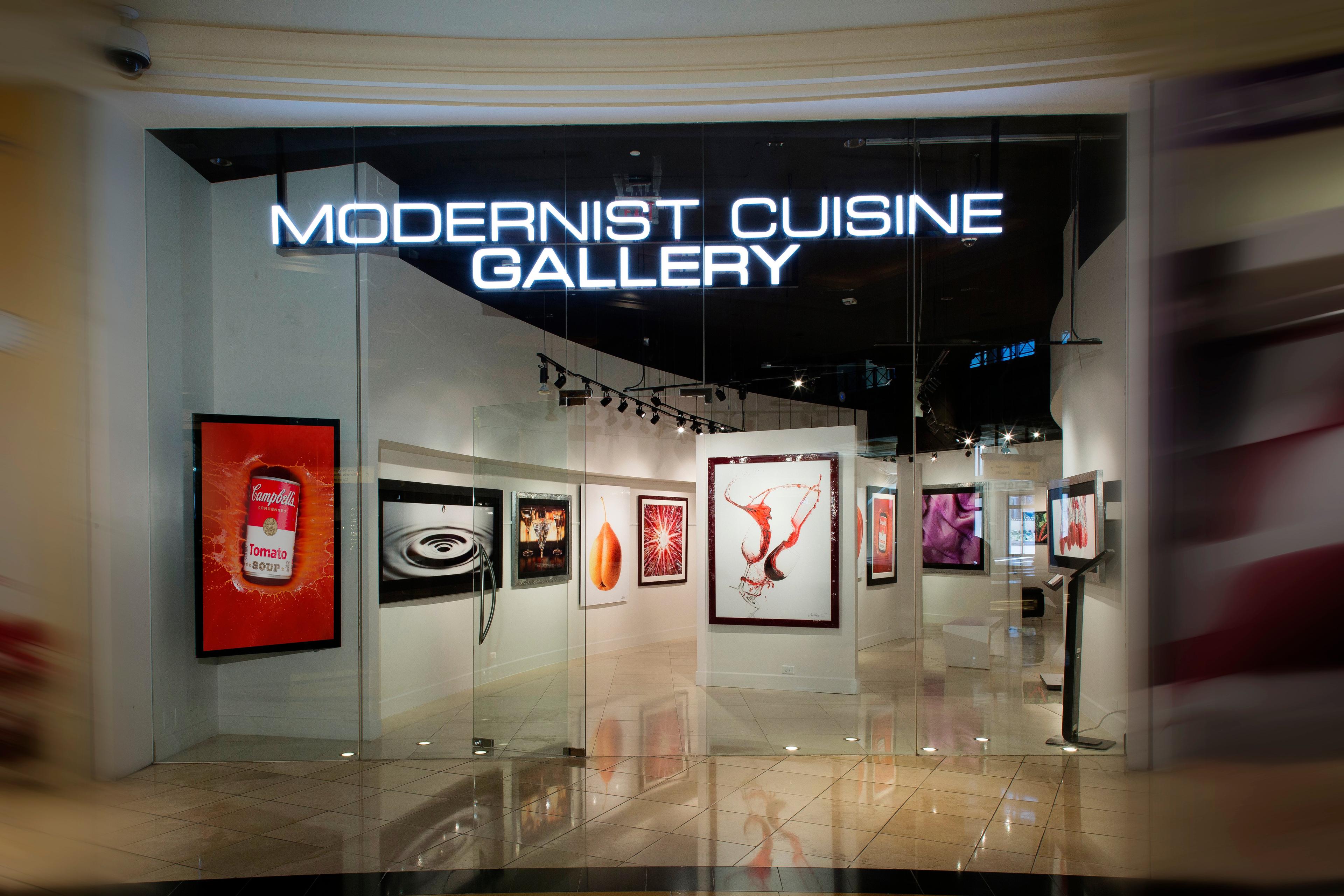 Modernist Cuisine Gallery