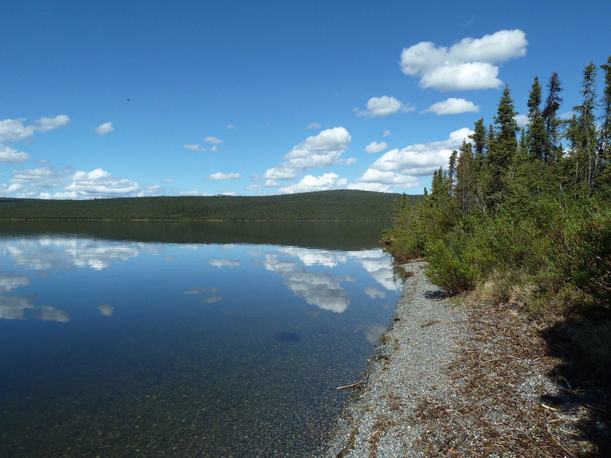 Paxson Lake BLM Campground