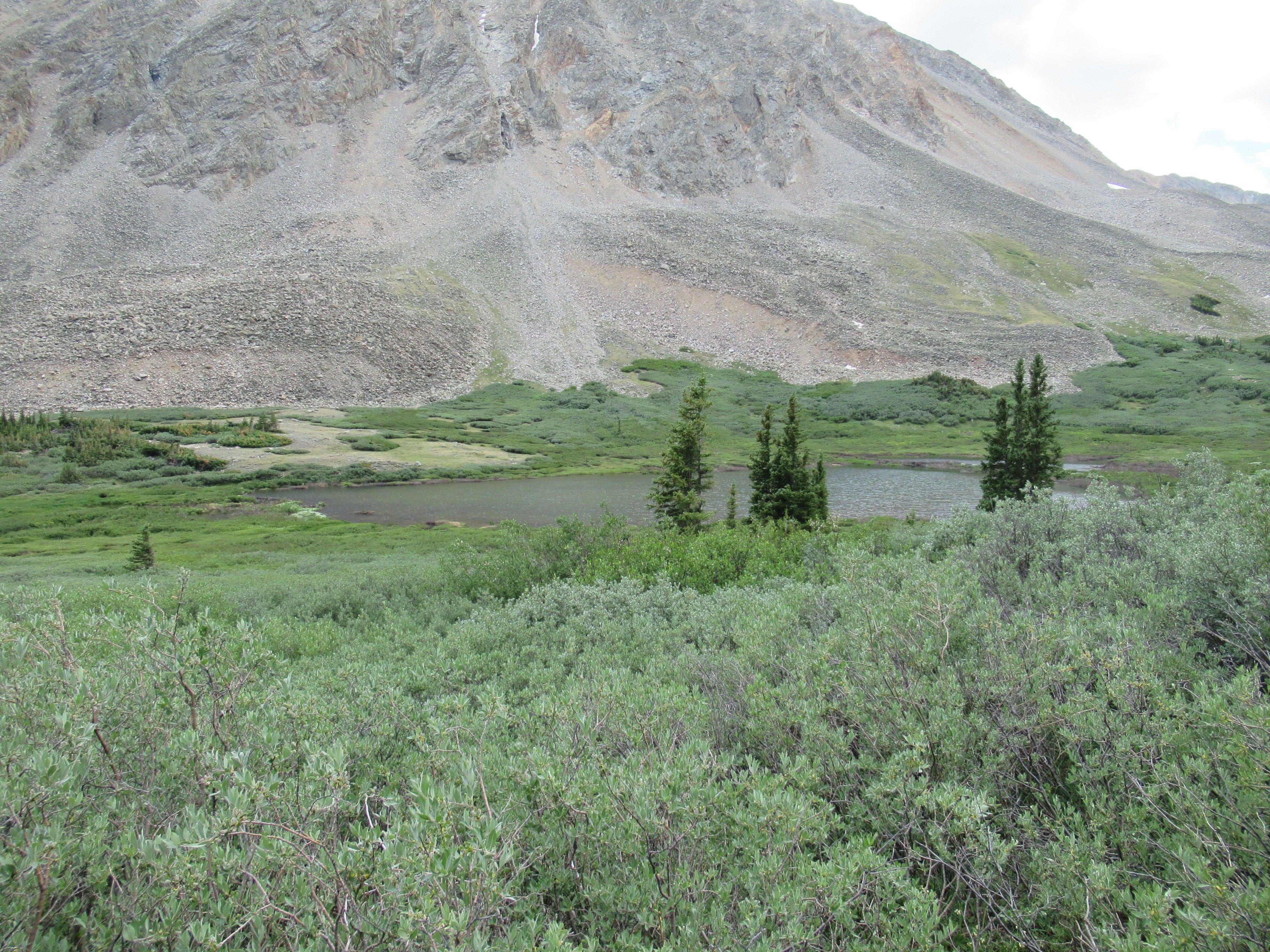 Big Willis Gulch Trail