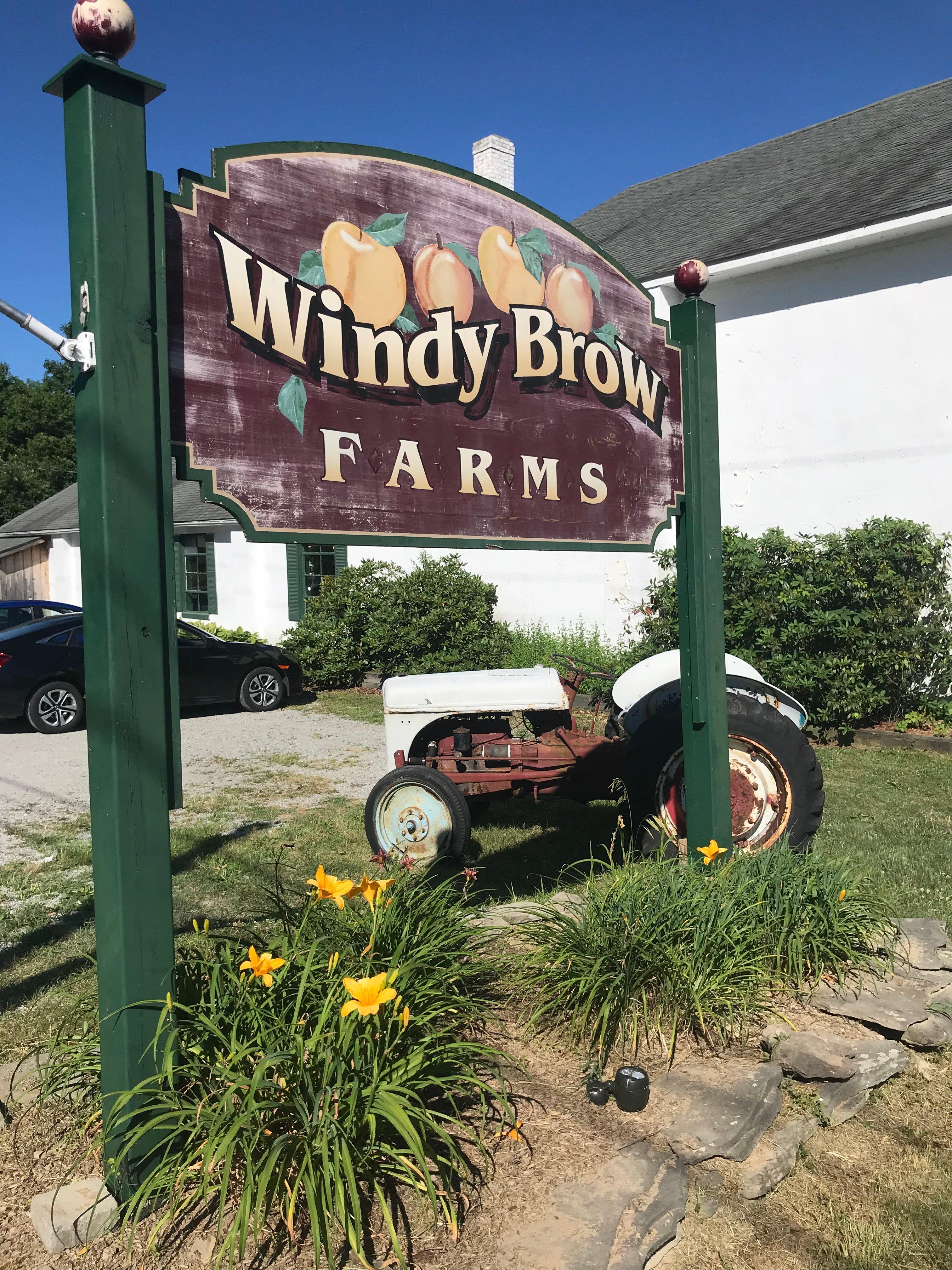 Windy Brow Farms