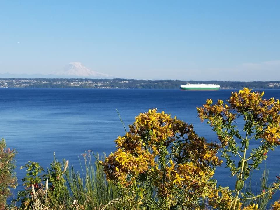 Maury Island Marine Park