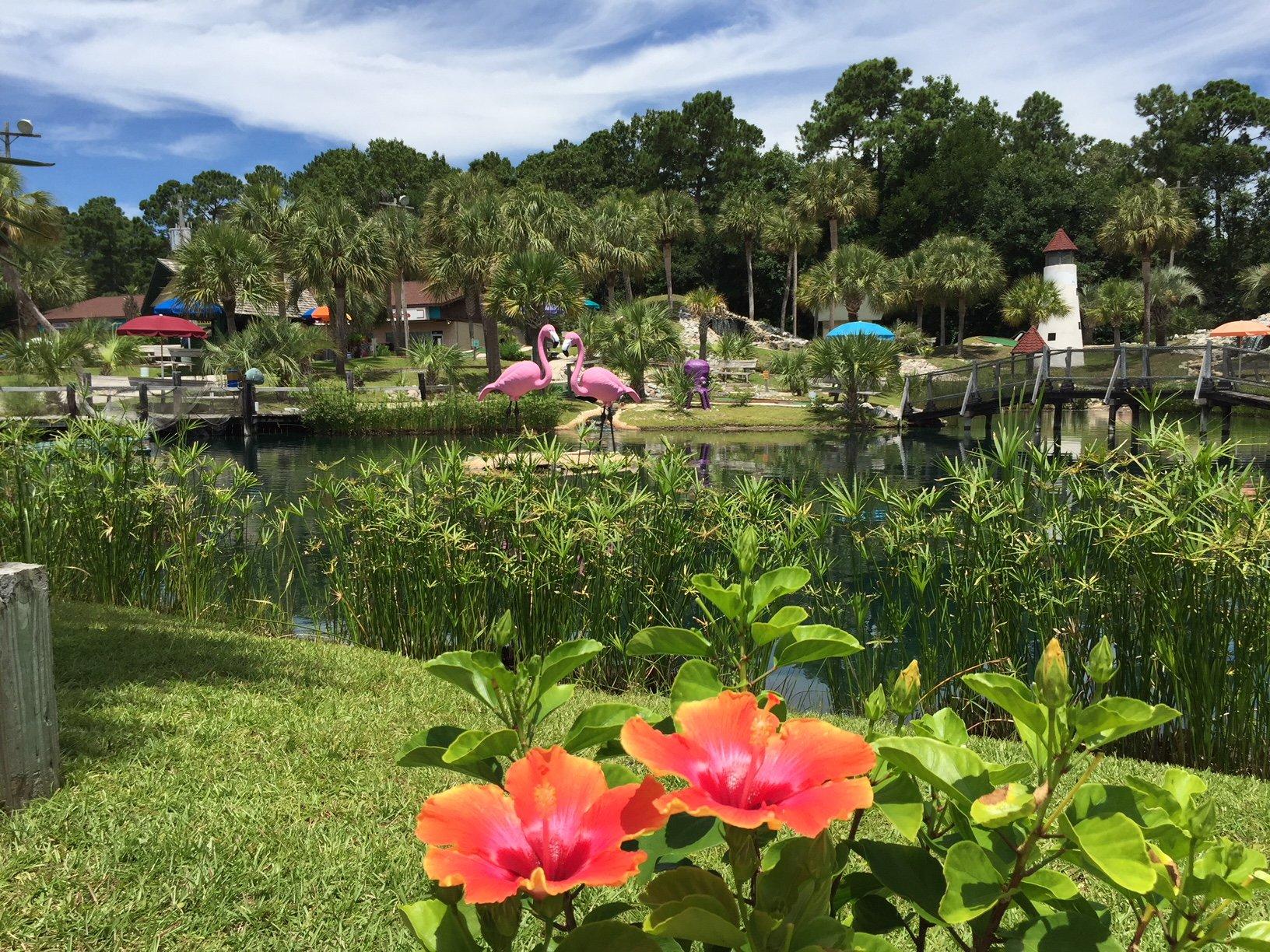 Tropical Adventure Mini Golf