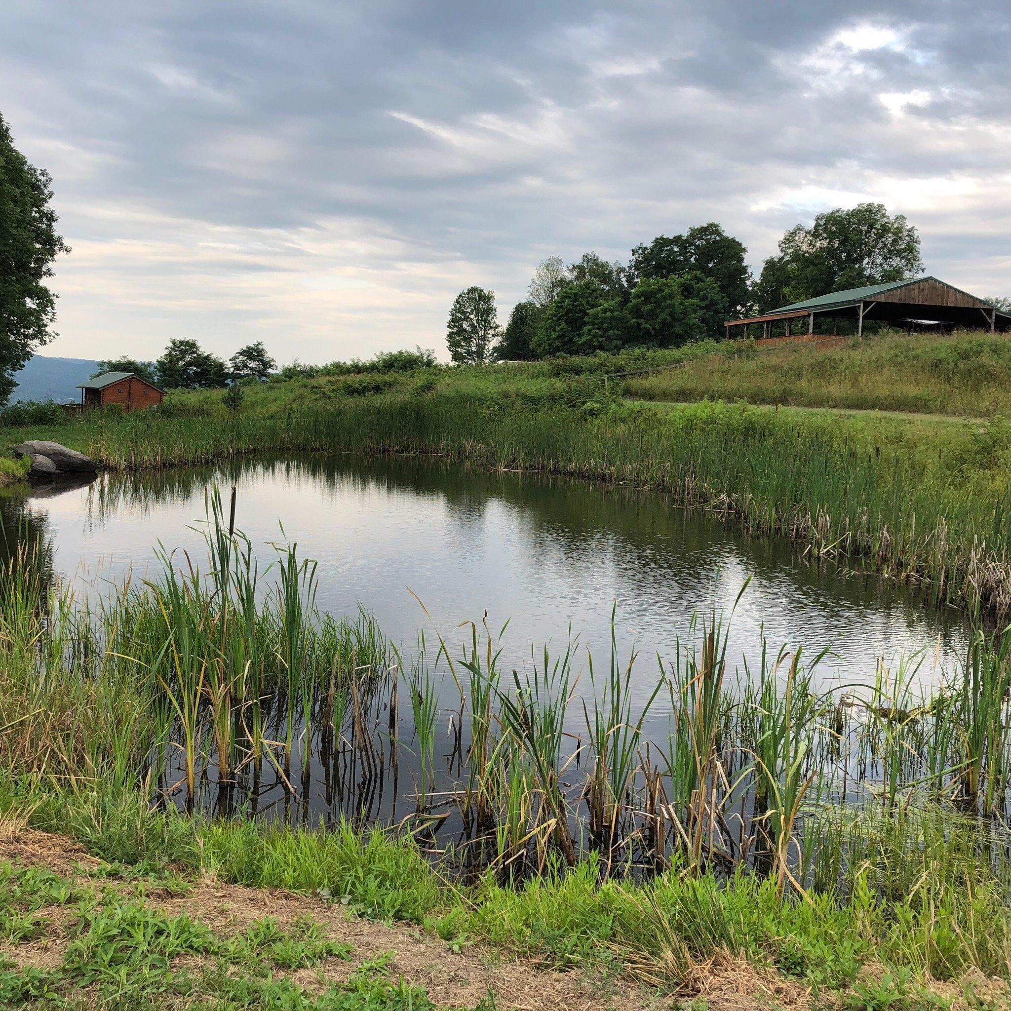 Deer Haven Campgrounds & Cabin