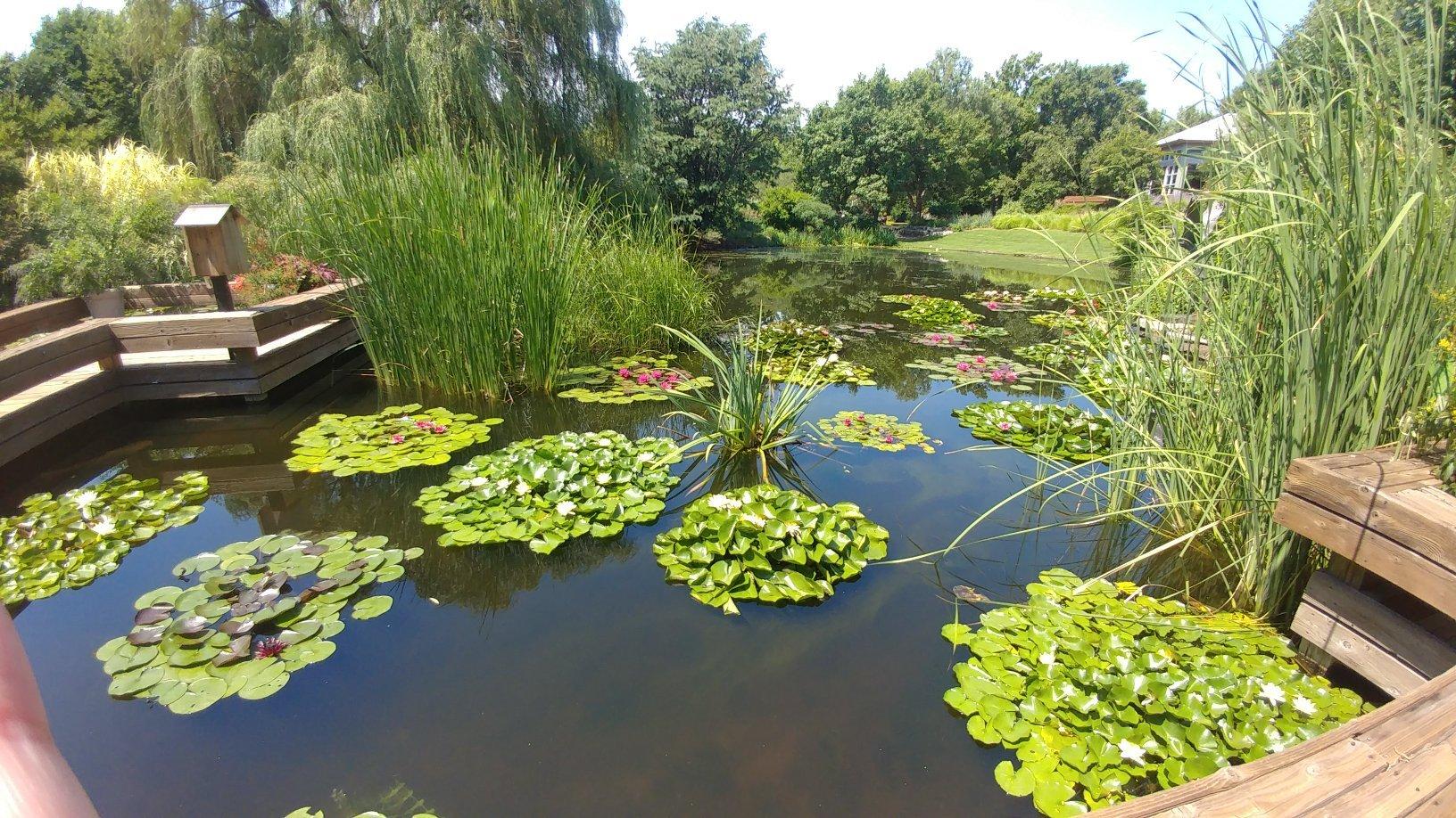 Botanica, The Wichita Gardens