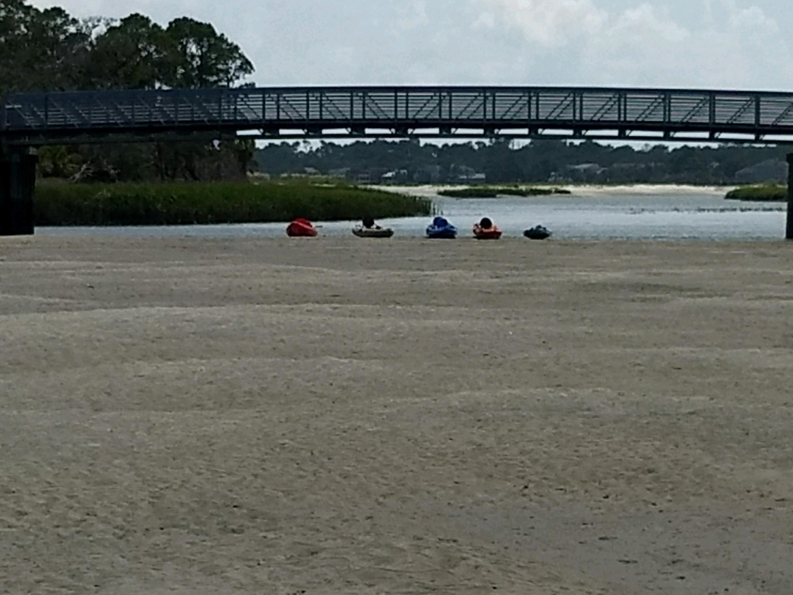 Beaufort River Tours