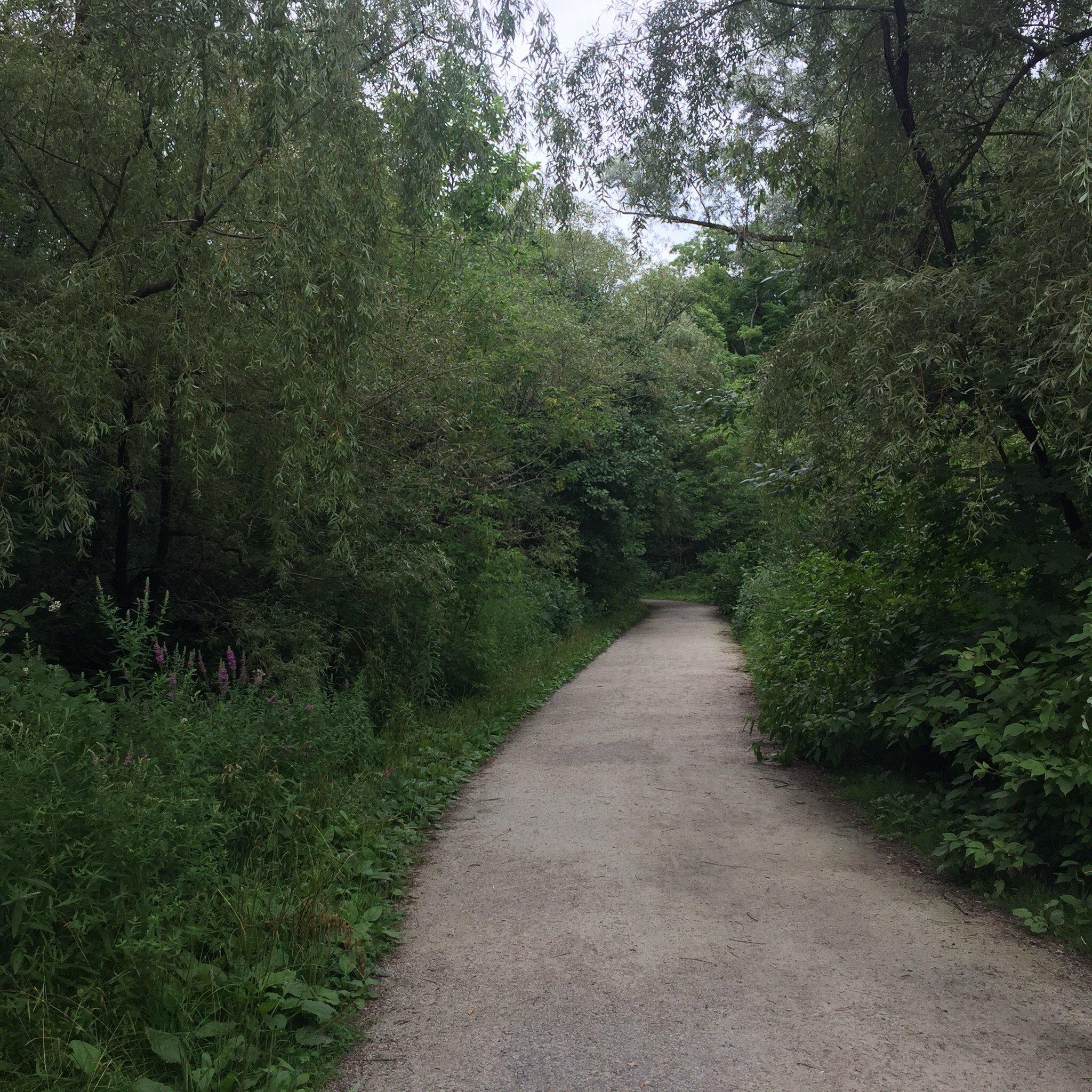 Cedarvale Park