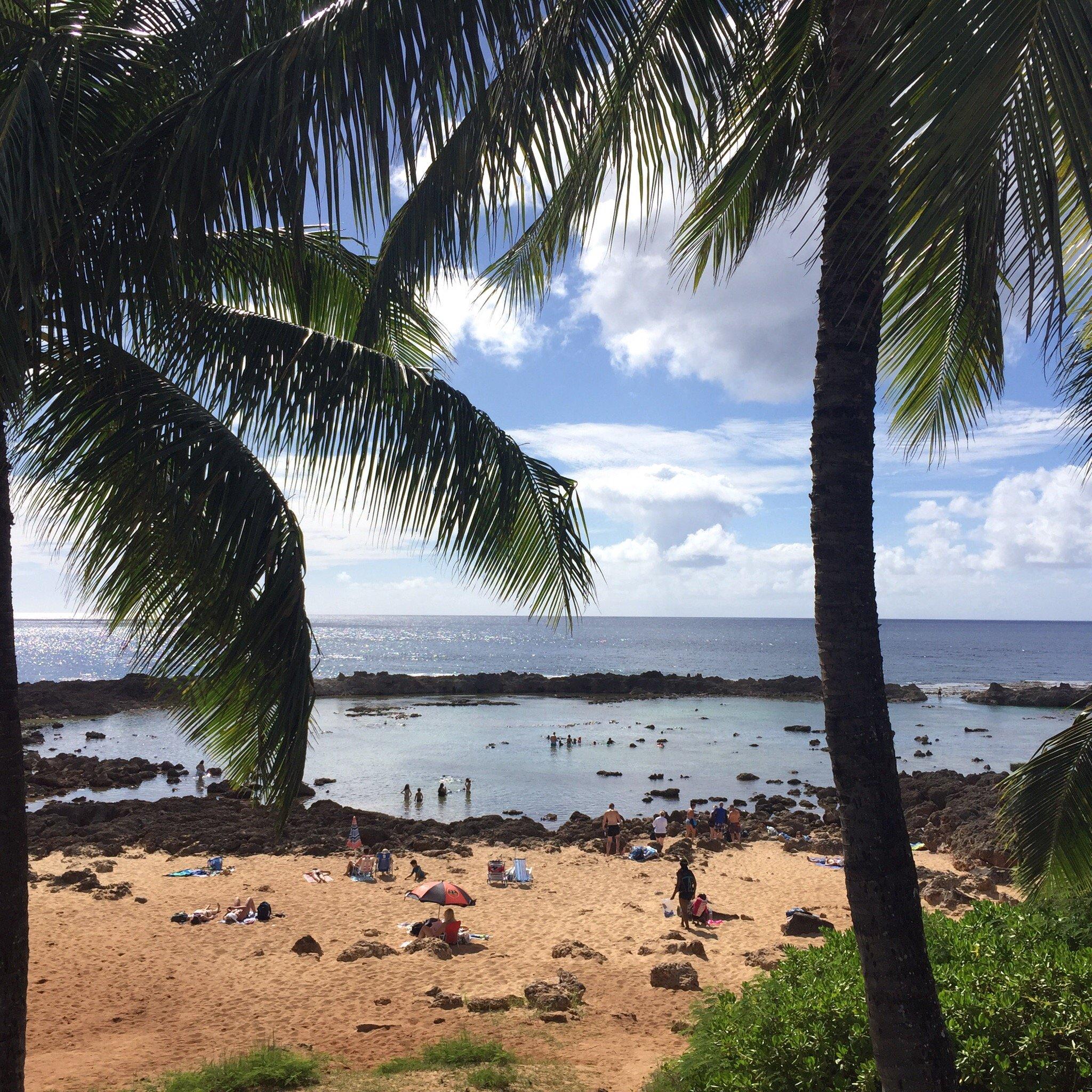 North Shore Surf Shop