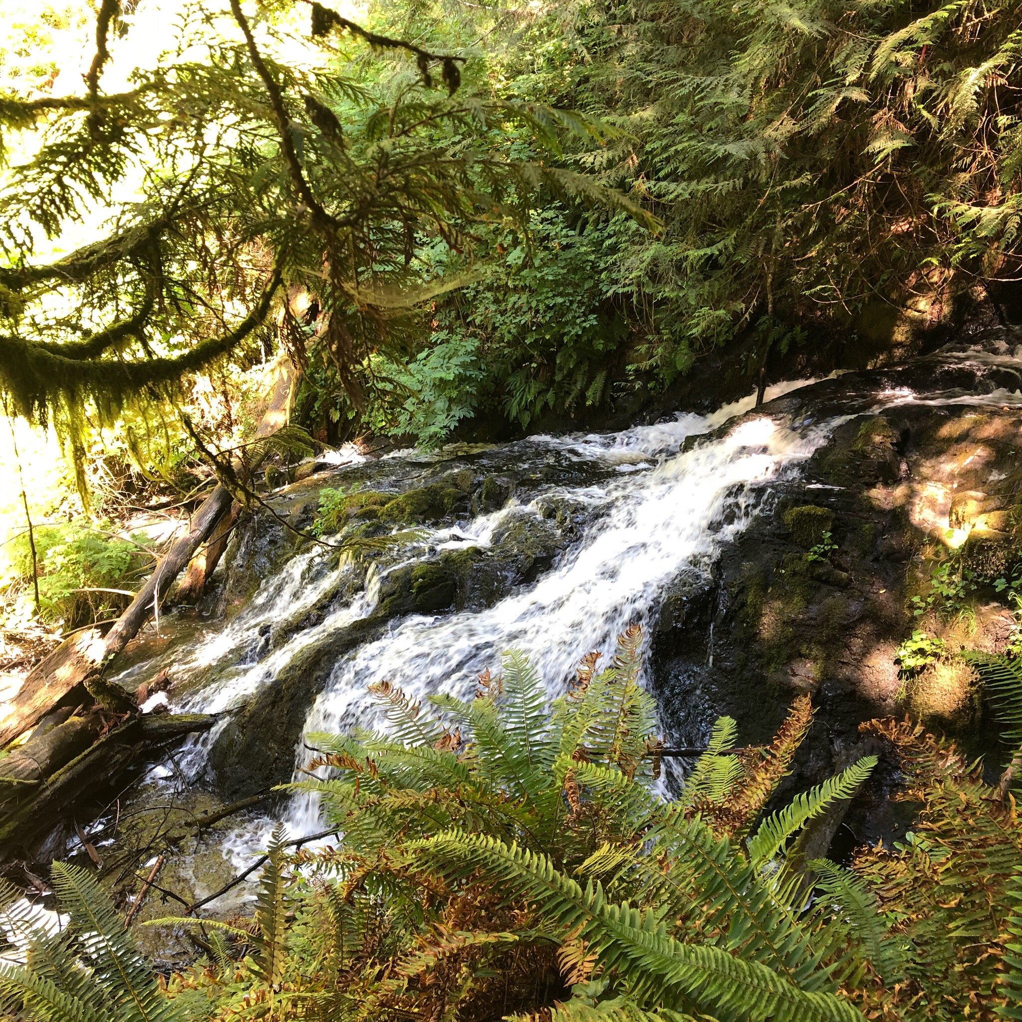 Ludlow Falls Interpretive Trail