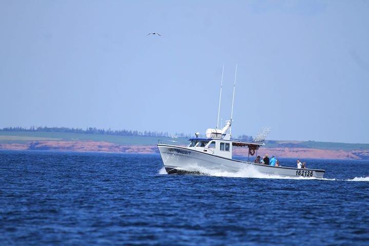 Off The Hook Deep Sea Fishing