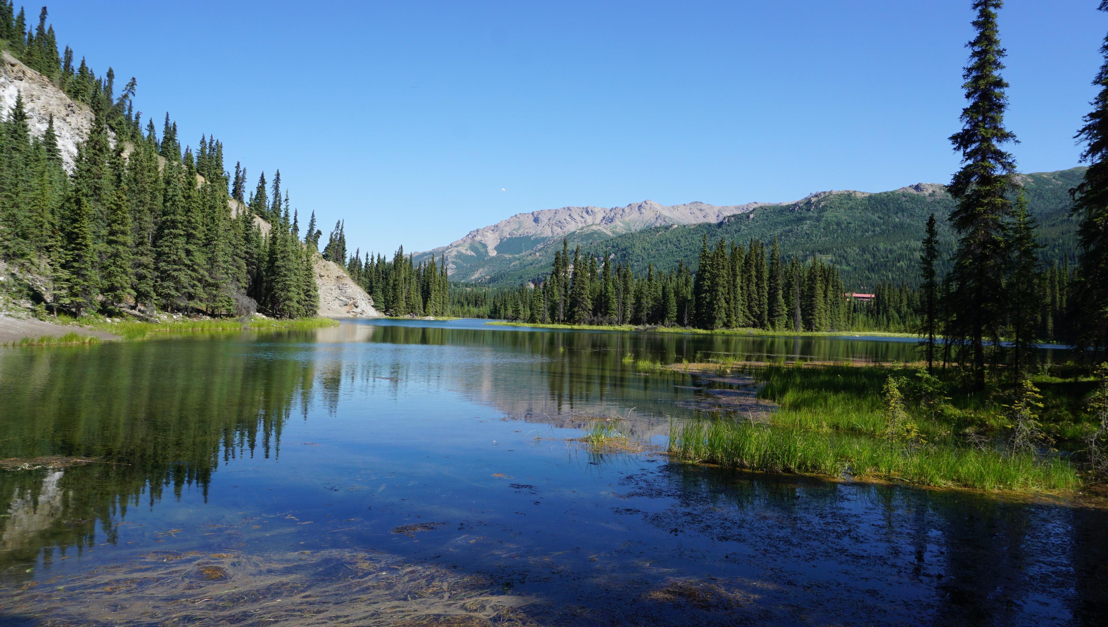 Horseshoe Lake Trail