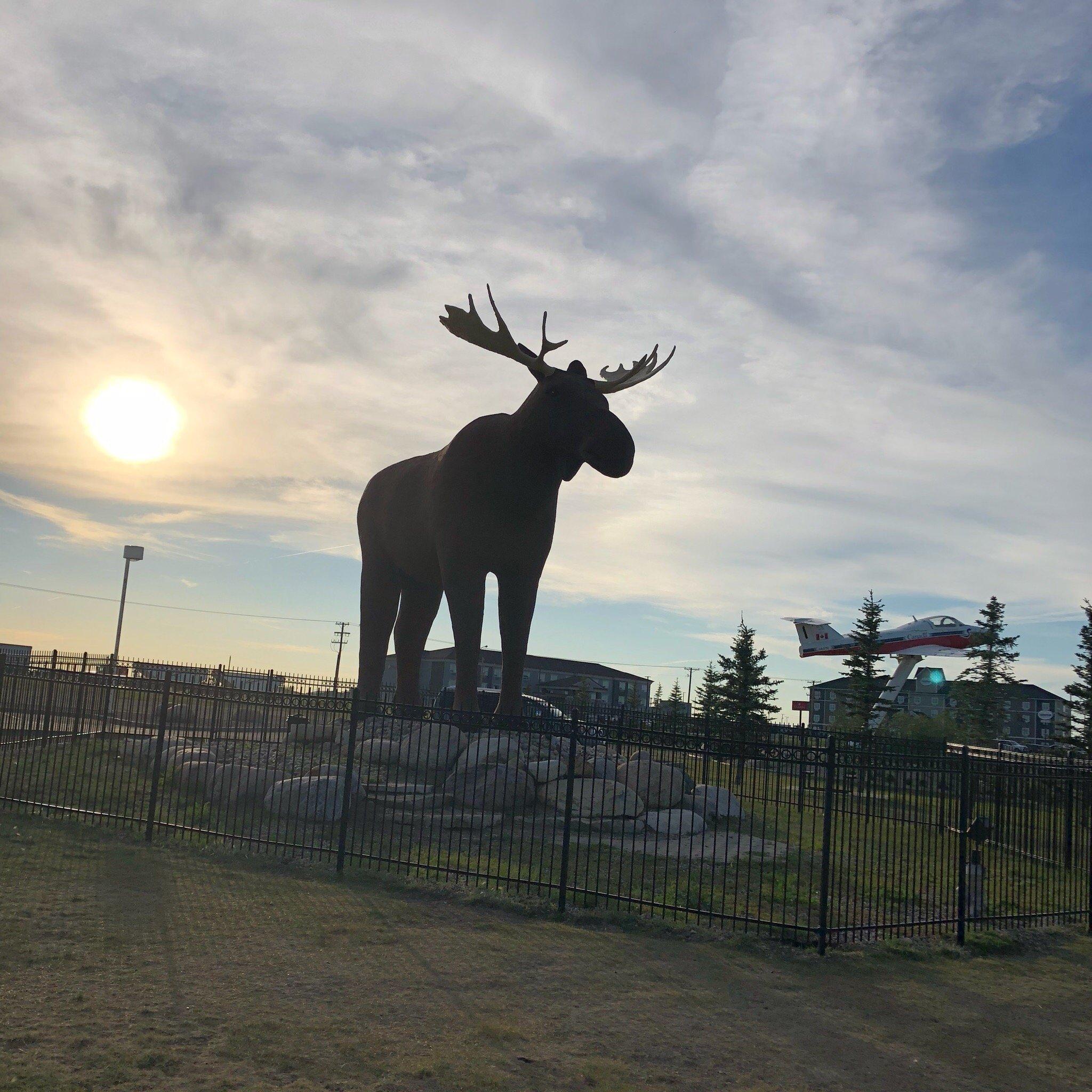 Mac the Moose Monument