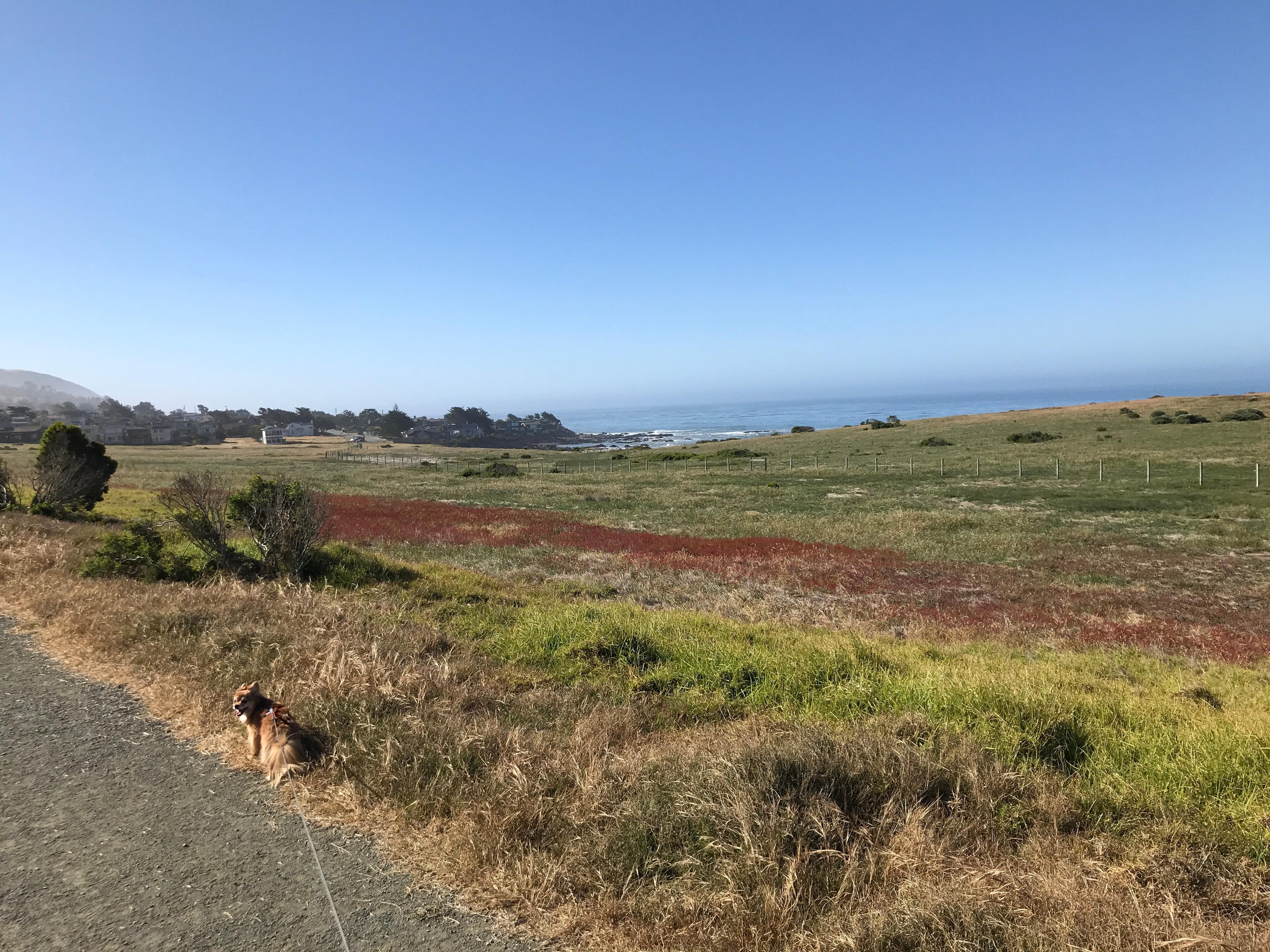 Marine Terrace Trail