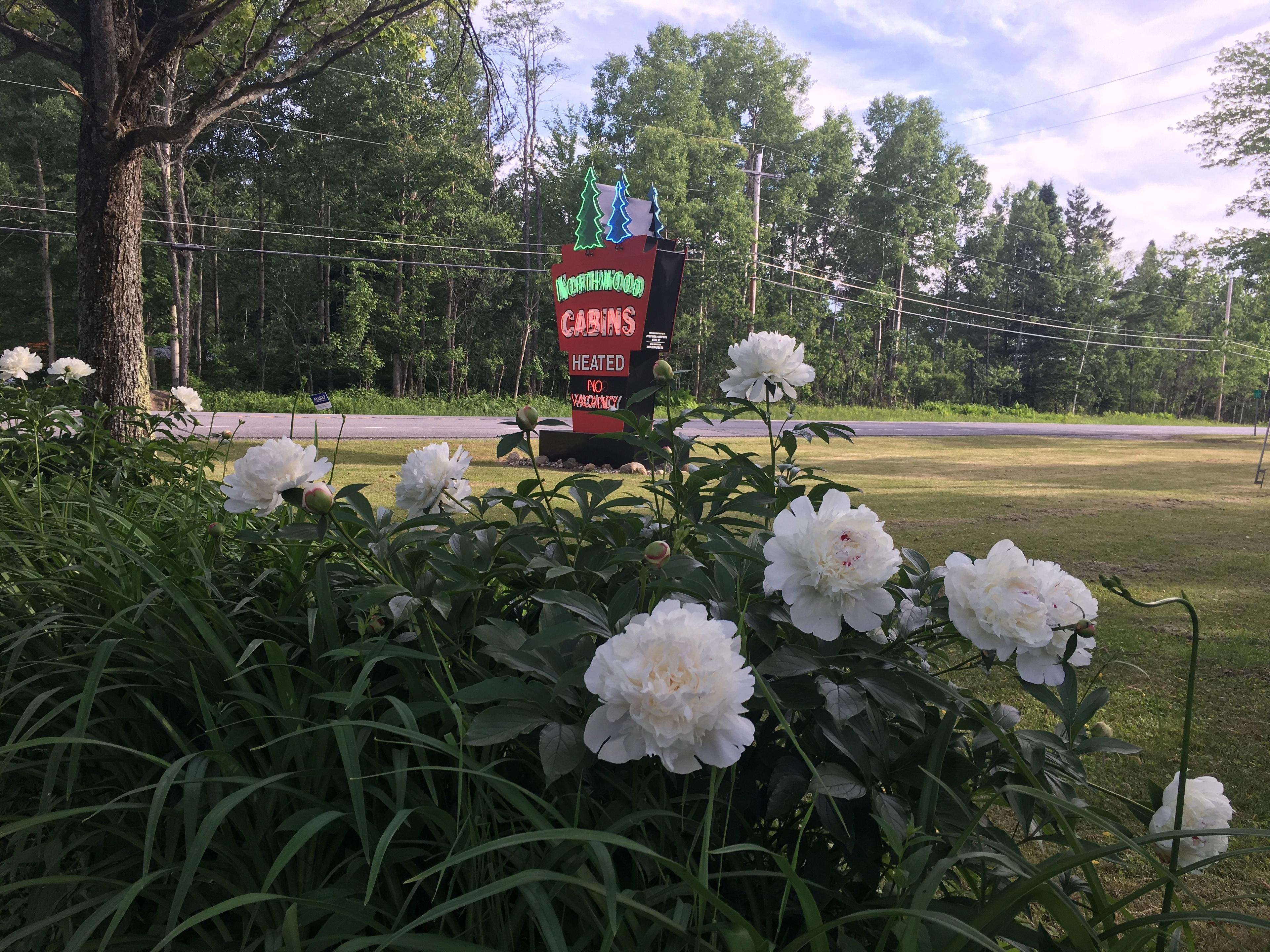 Northwood Cabins