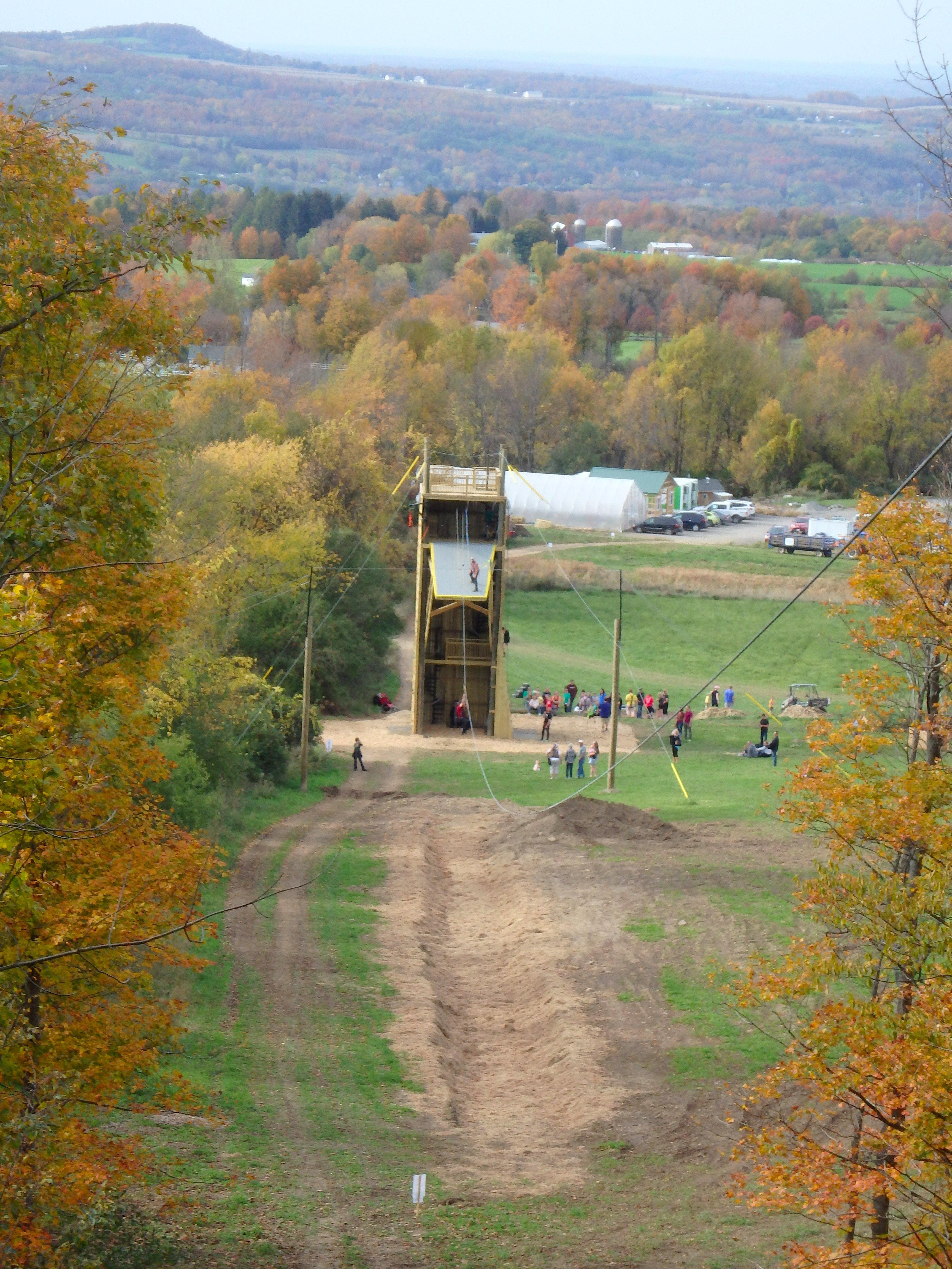 The Root Farm