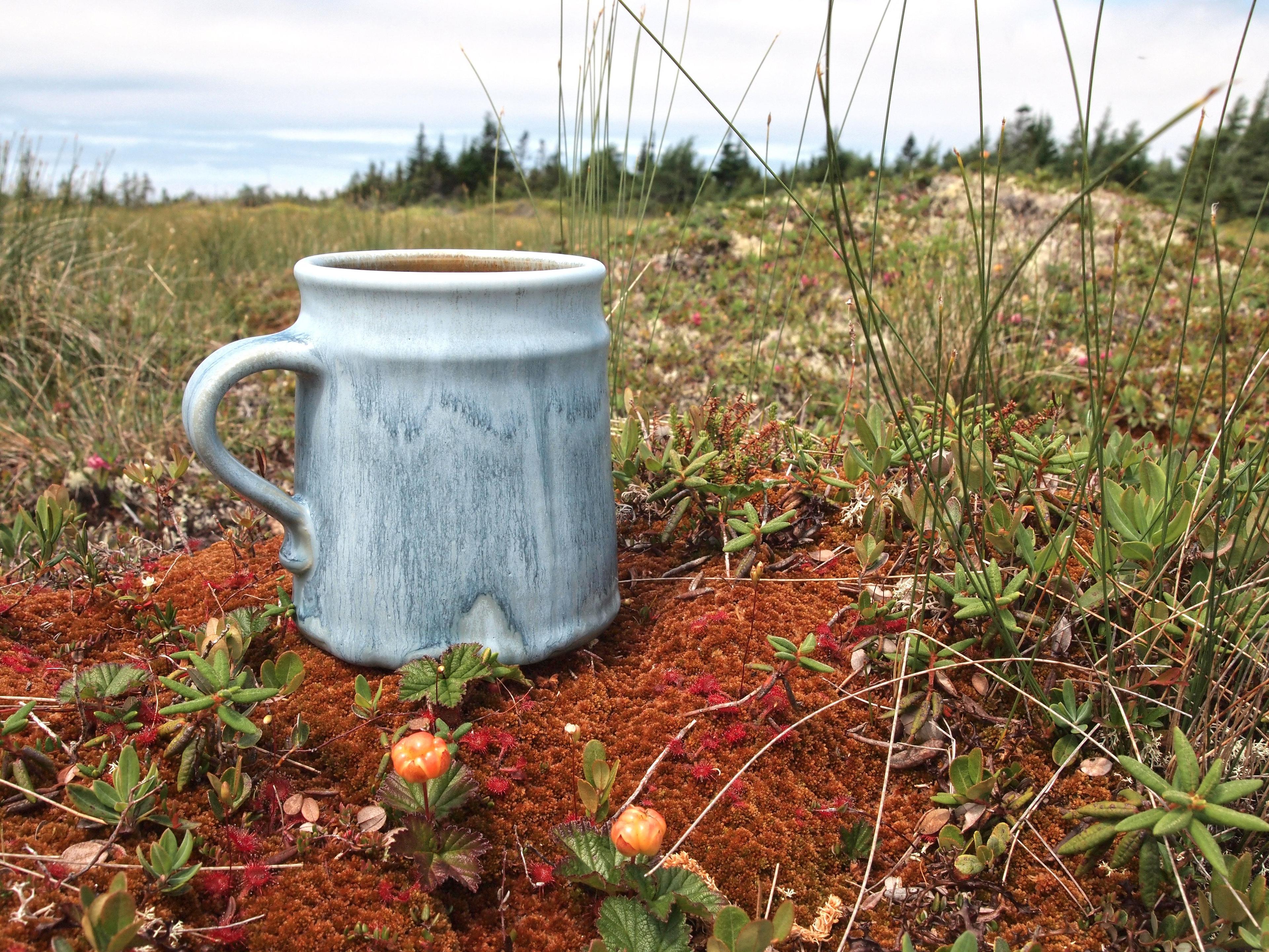 Wild Cove Pottery