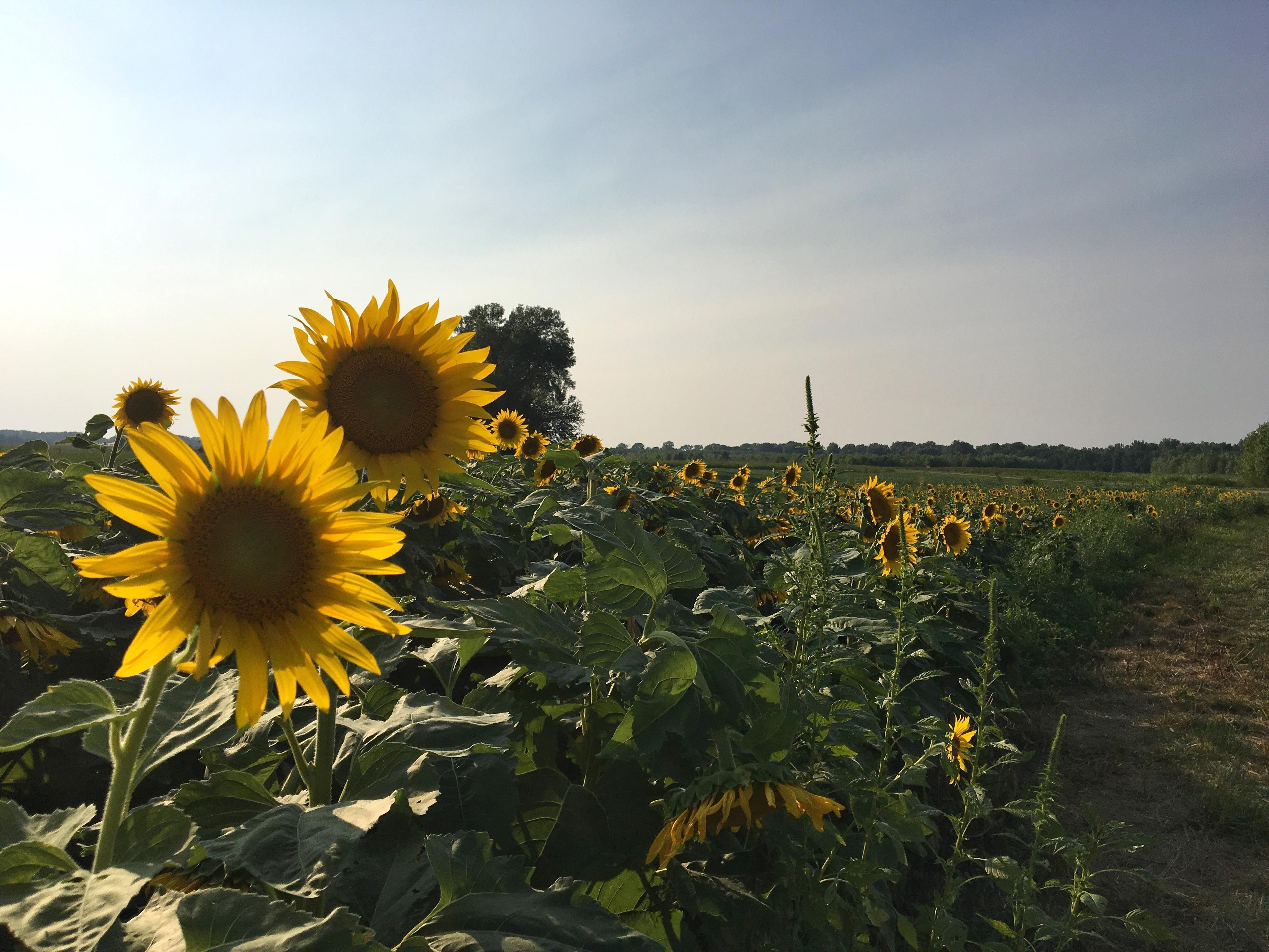 Columbia Bottom Conservation Area