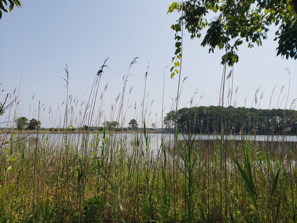 Chesapeake Bay Environmental Center