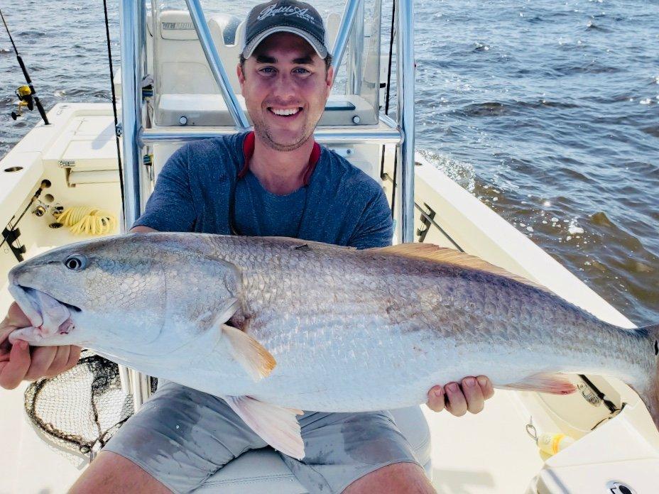 Charleston Silverfox Charters