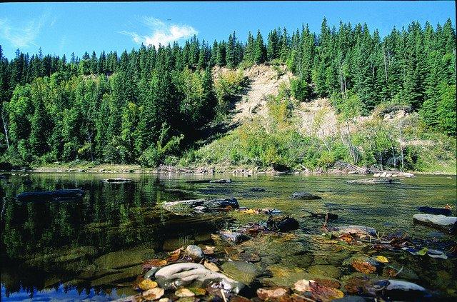 Pembina River Provincial Park