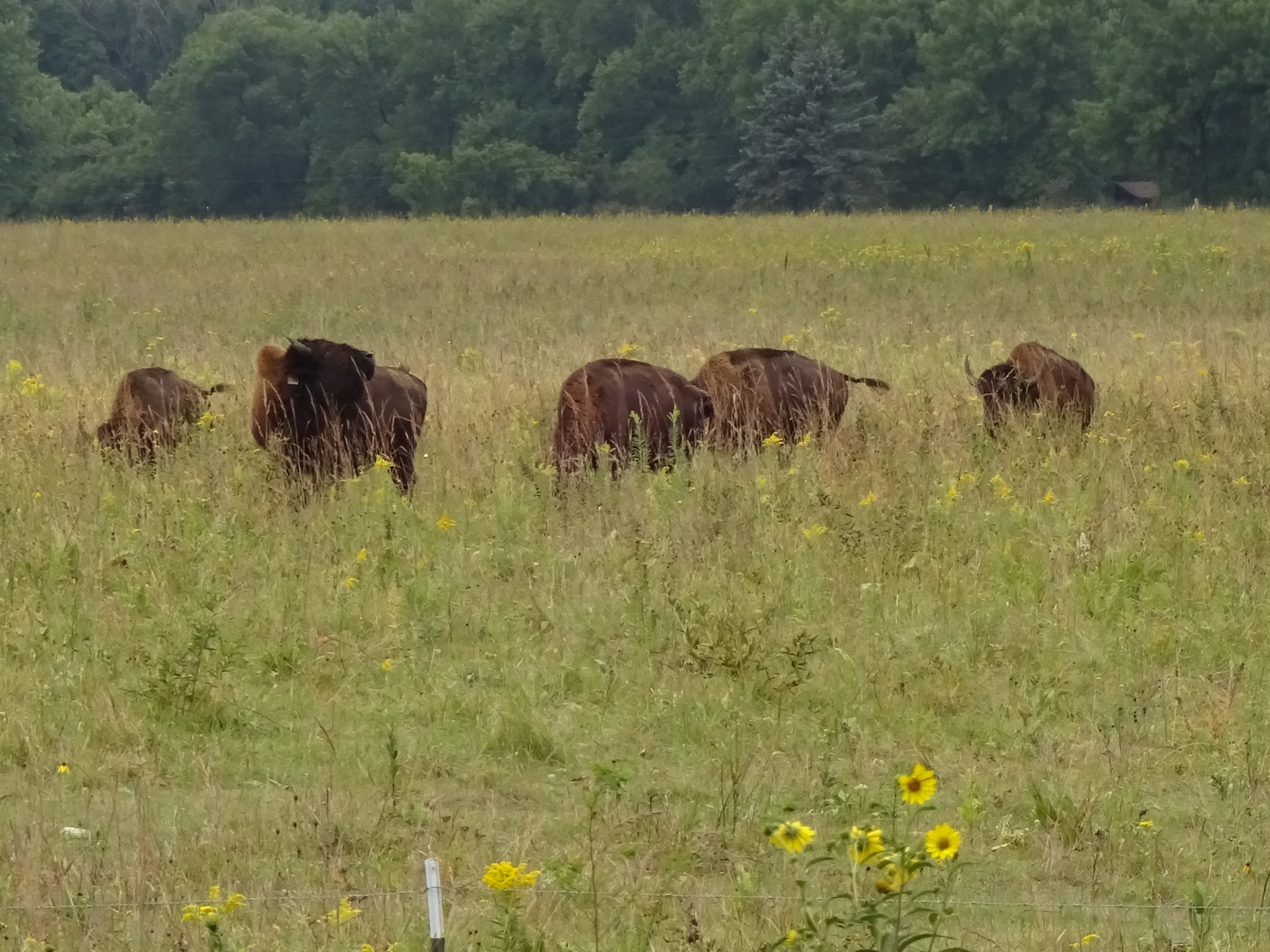 Belwin Conservancy