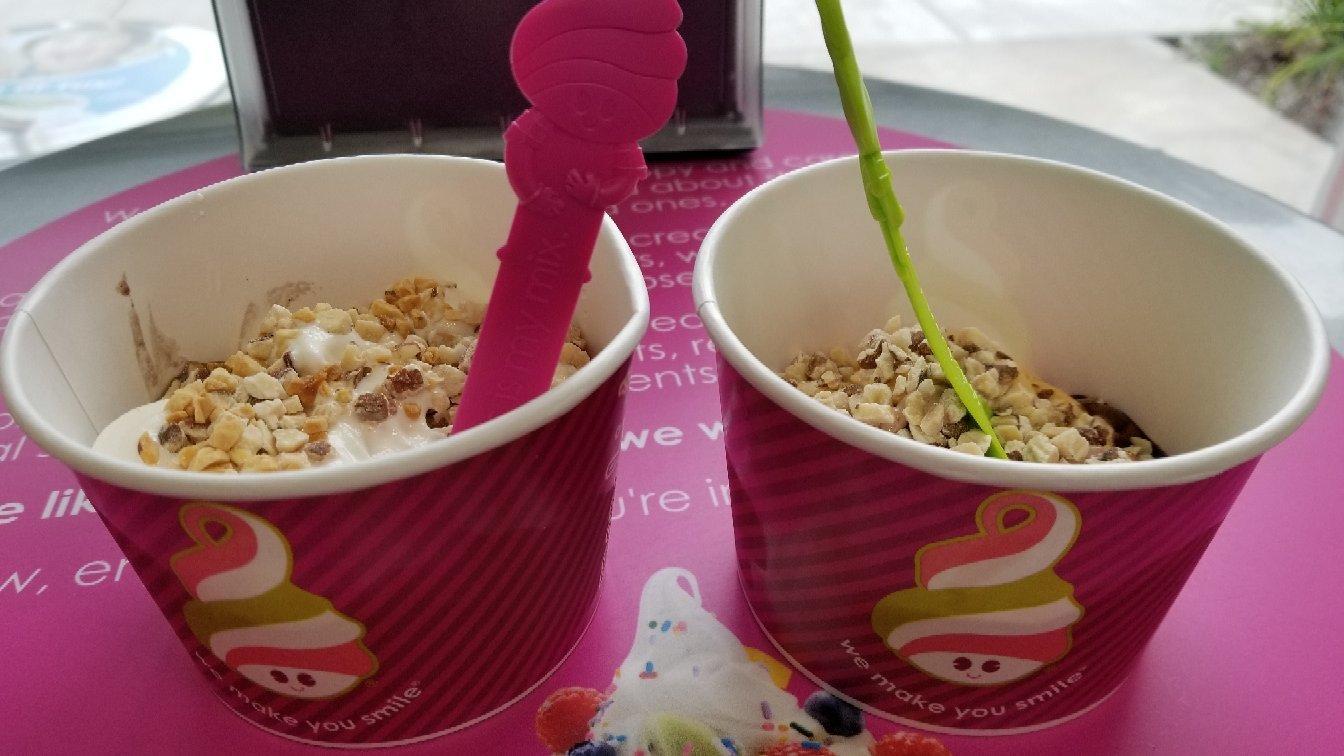 Menchie's Frozen Yogurt