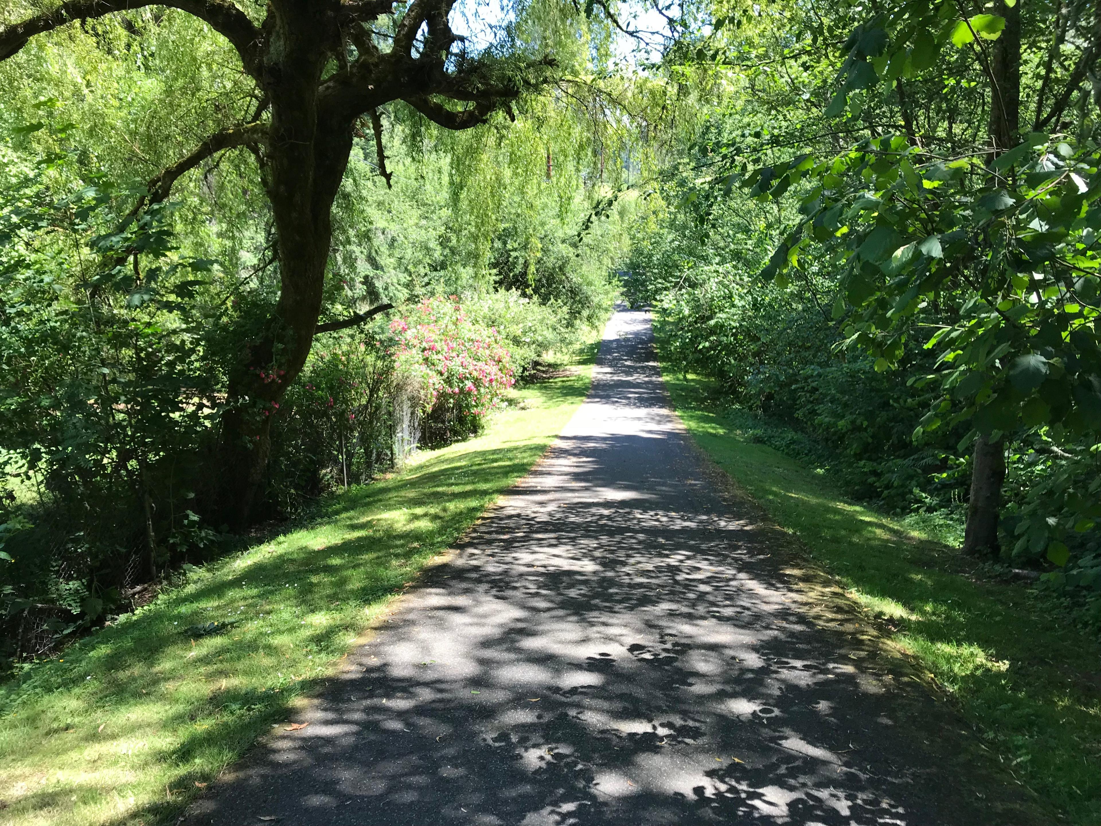 Rhododendron Park