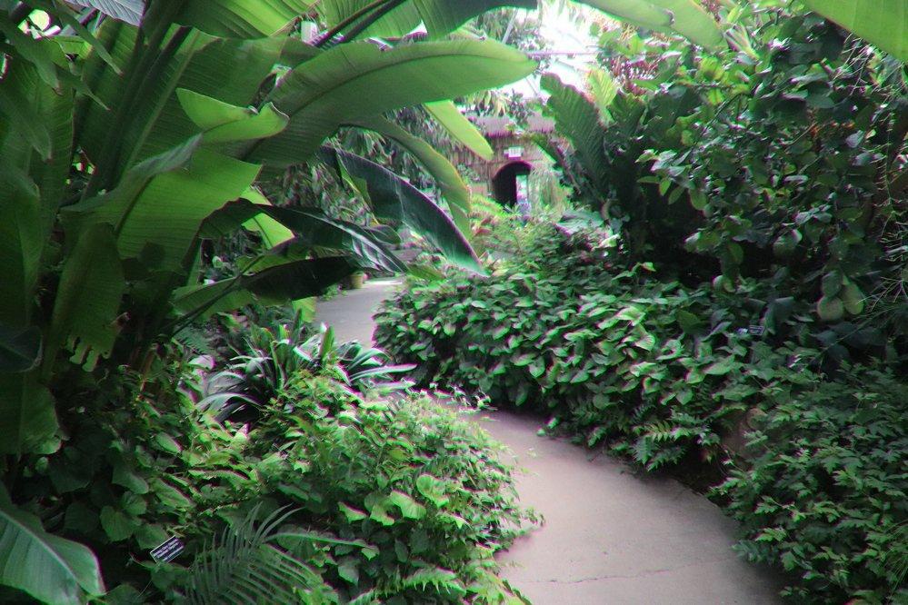 Luthy Botanical Garden