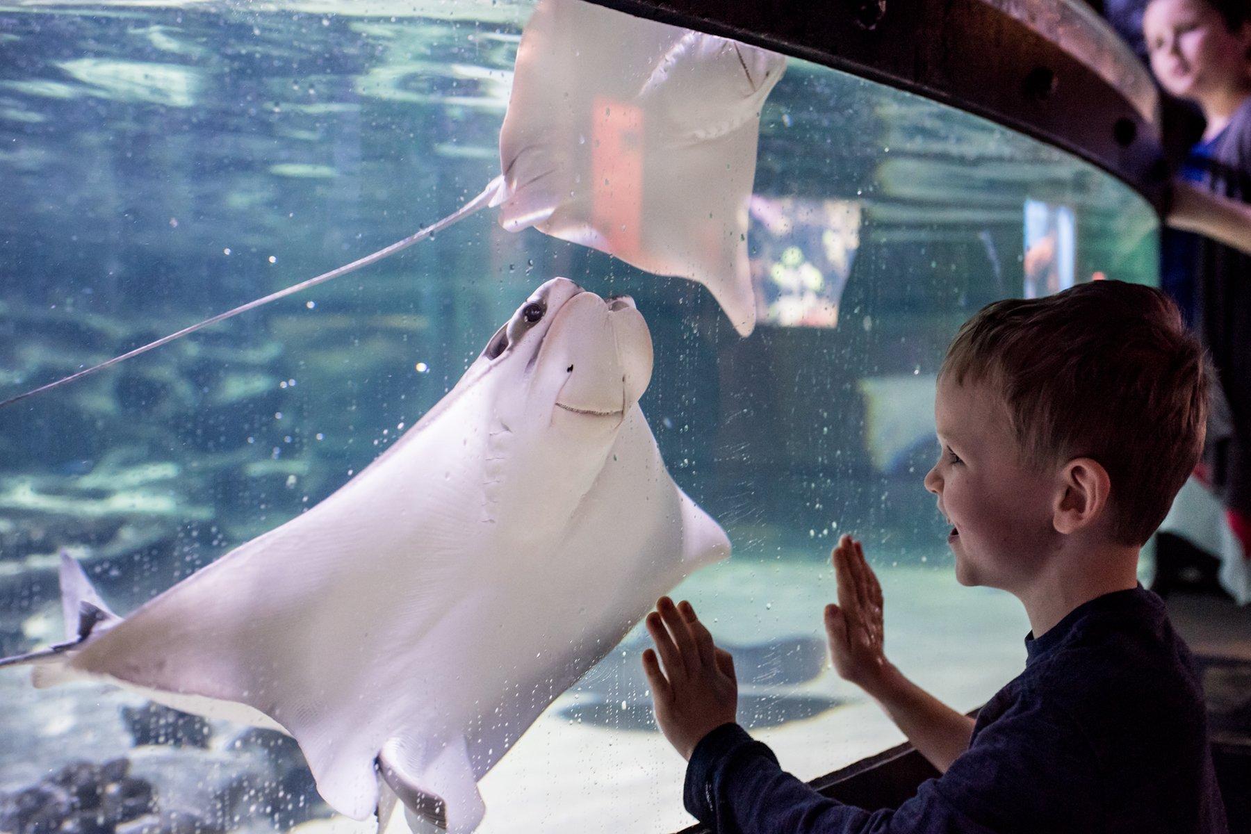 Greater Cleveland Aquarium