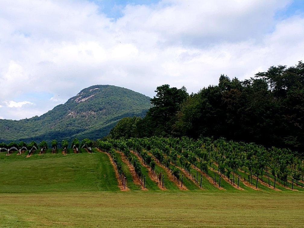 Yonah Mountain Vineyards