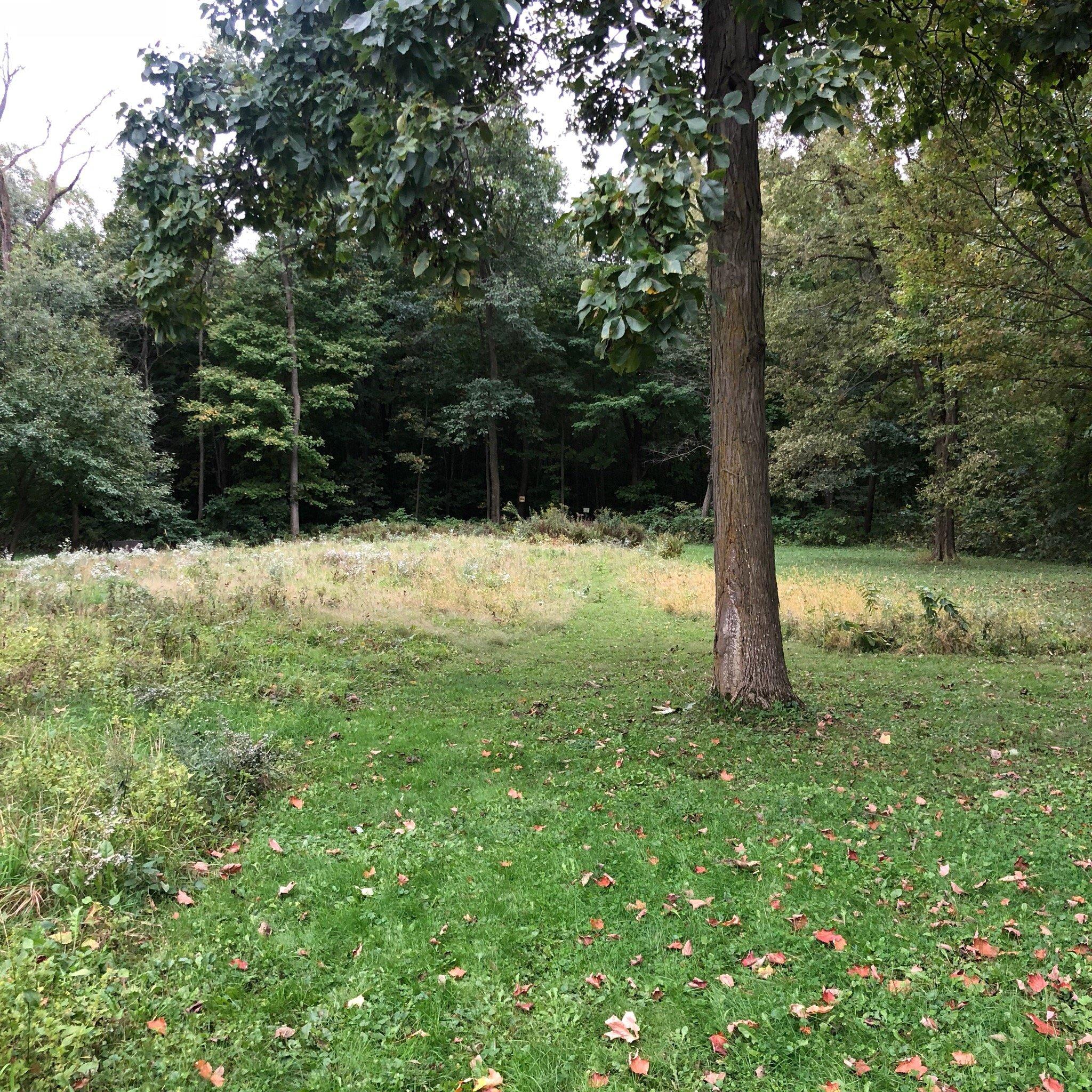 Historical Man Mound