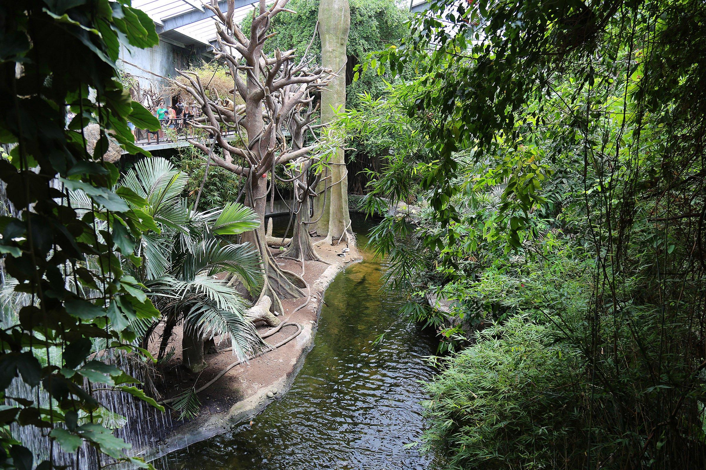 Henry Doorly Zoo