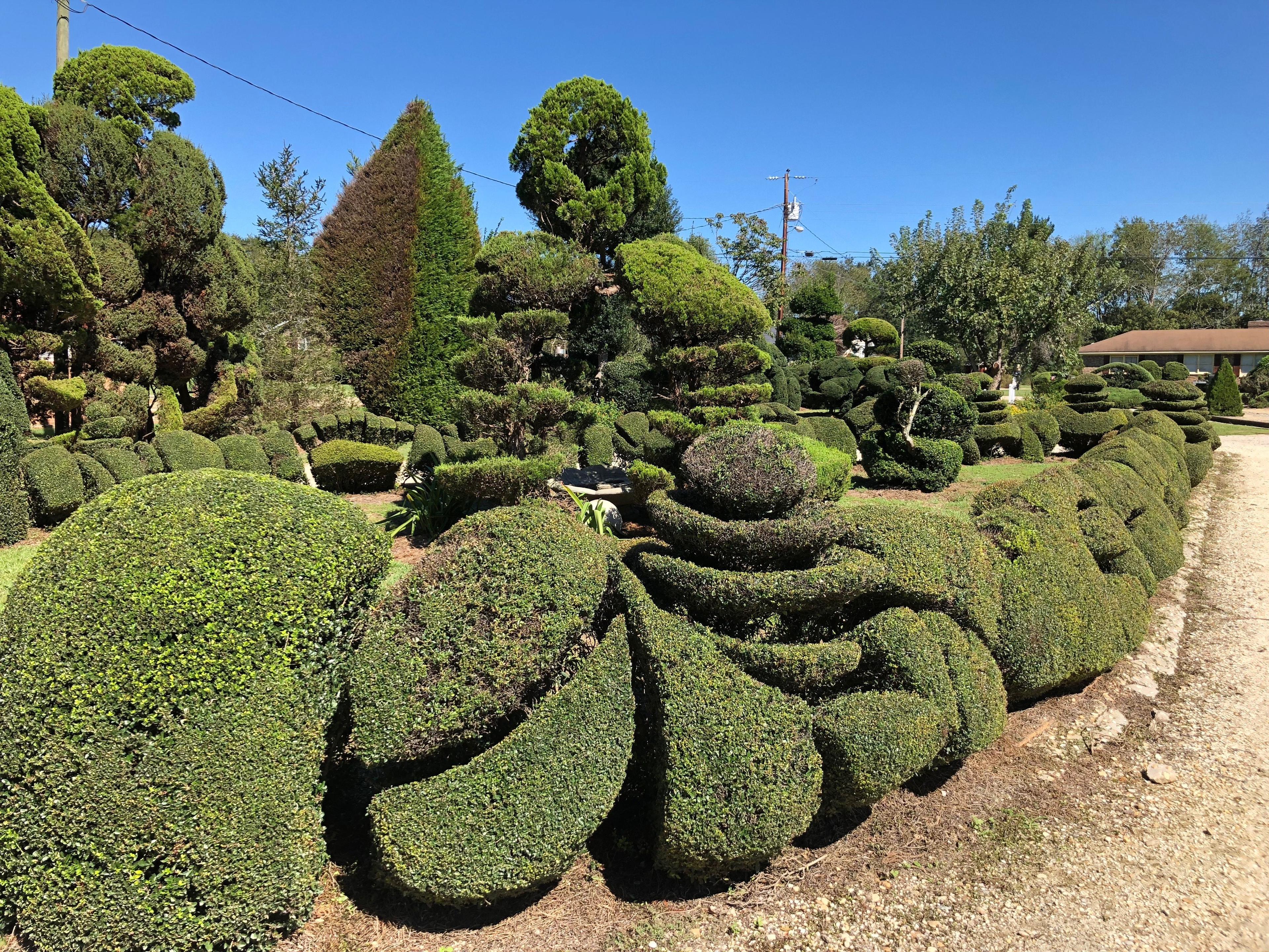 Pearl Fryar's Topiary Garden