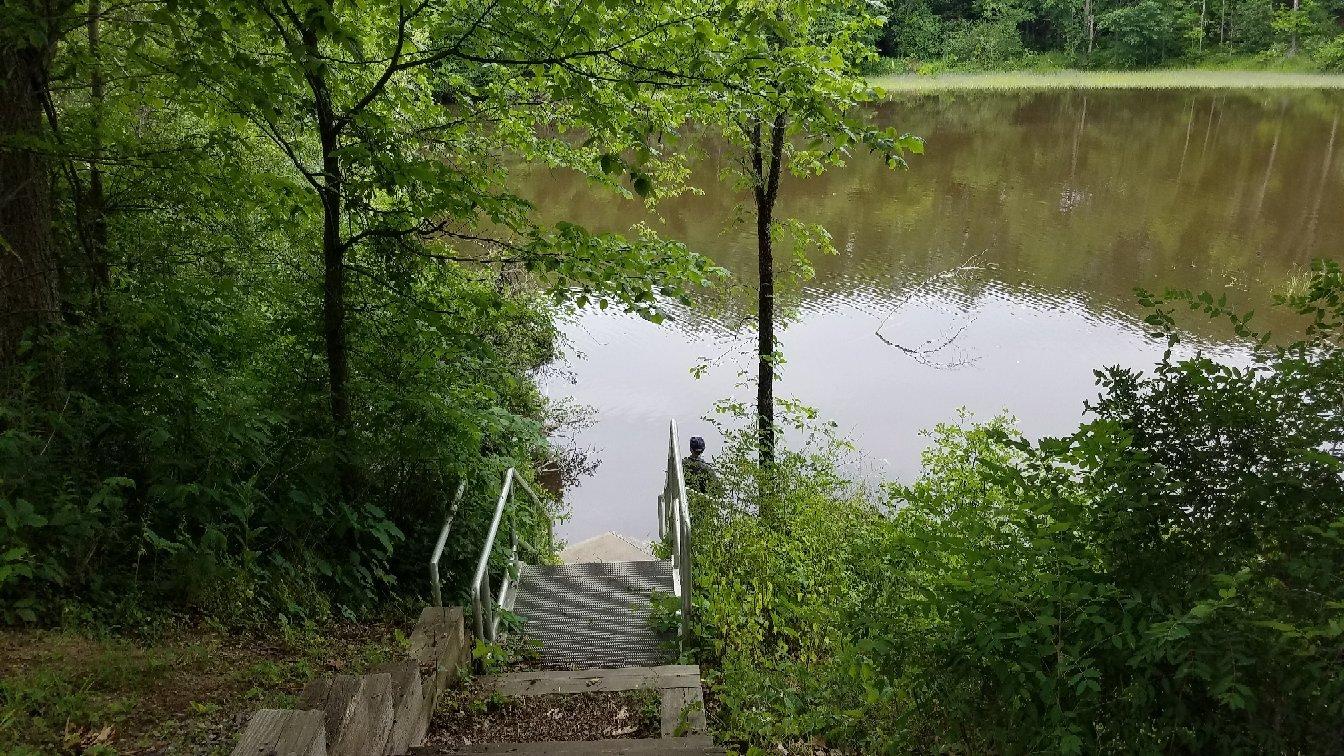 Cathance River Preserve