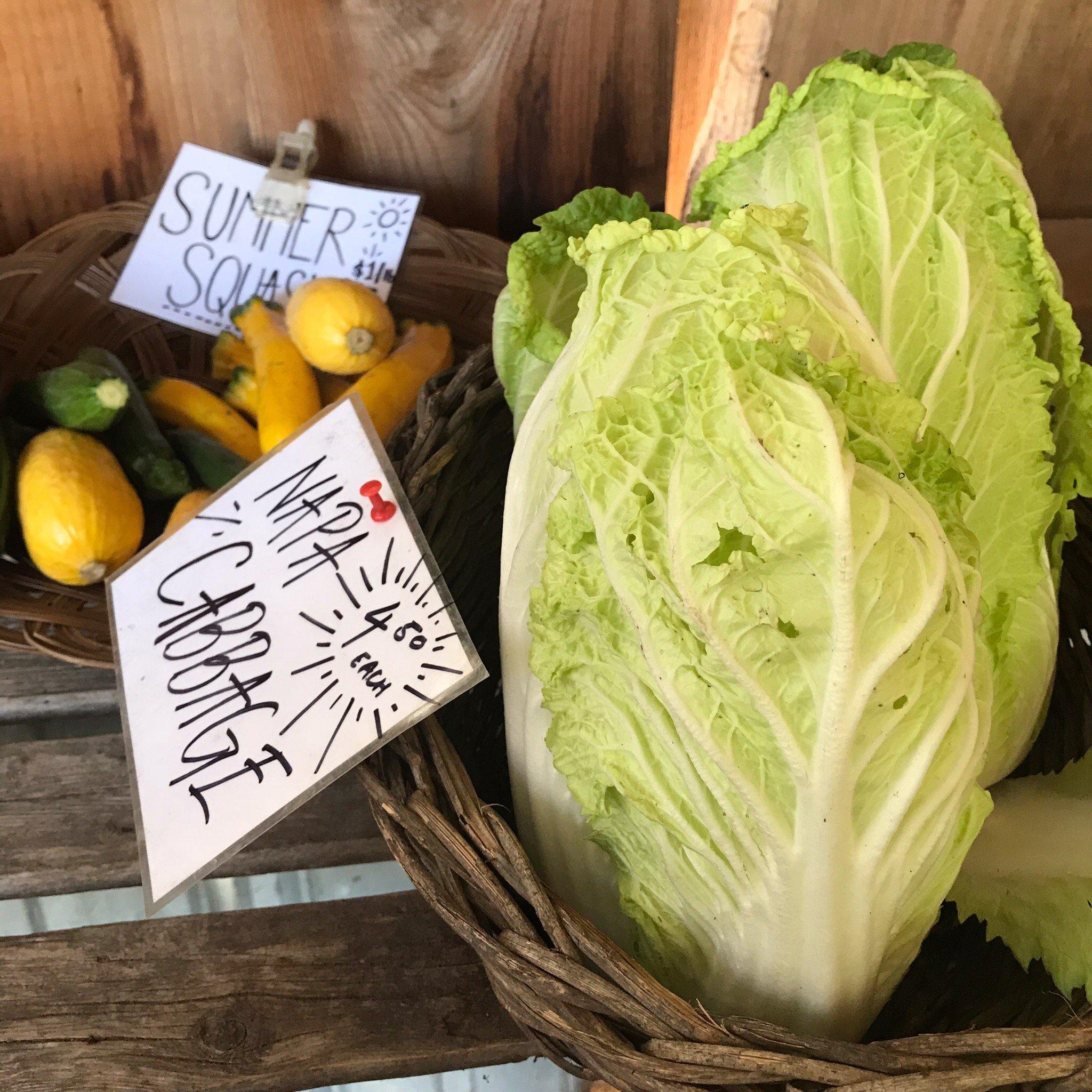 Bayview Farmers Market