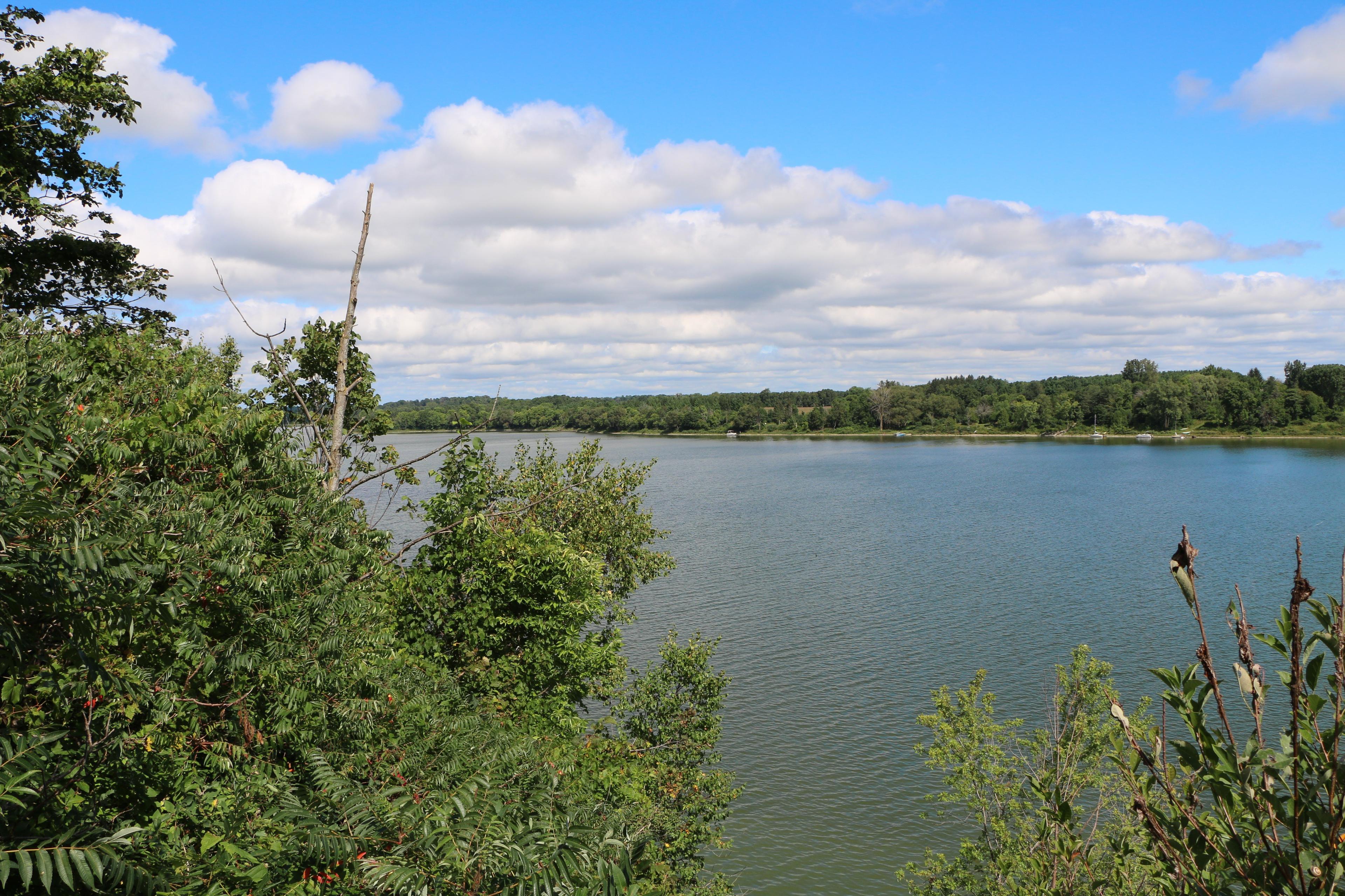 Fanshawe Conservation Area