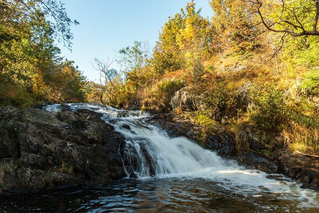 Rennie's River Trail