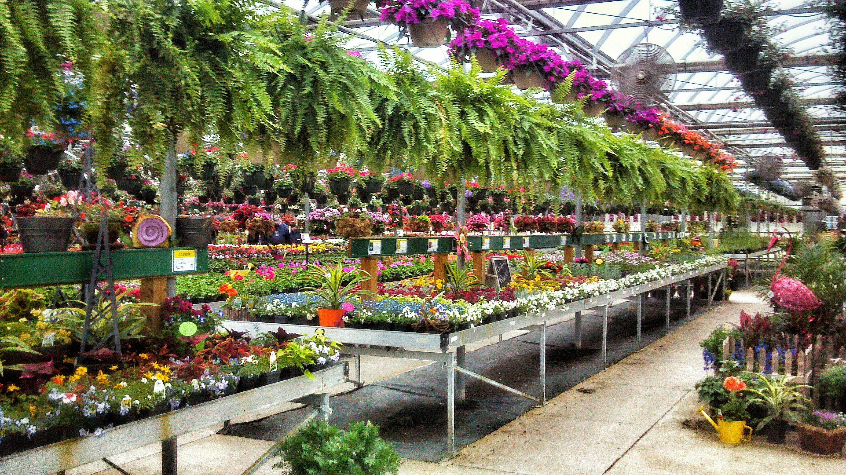 Ebert's Greenhouse Village