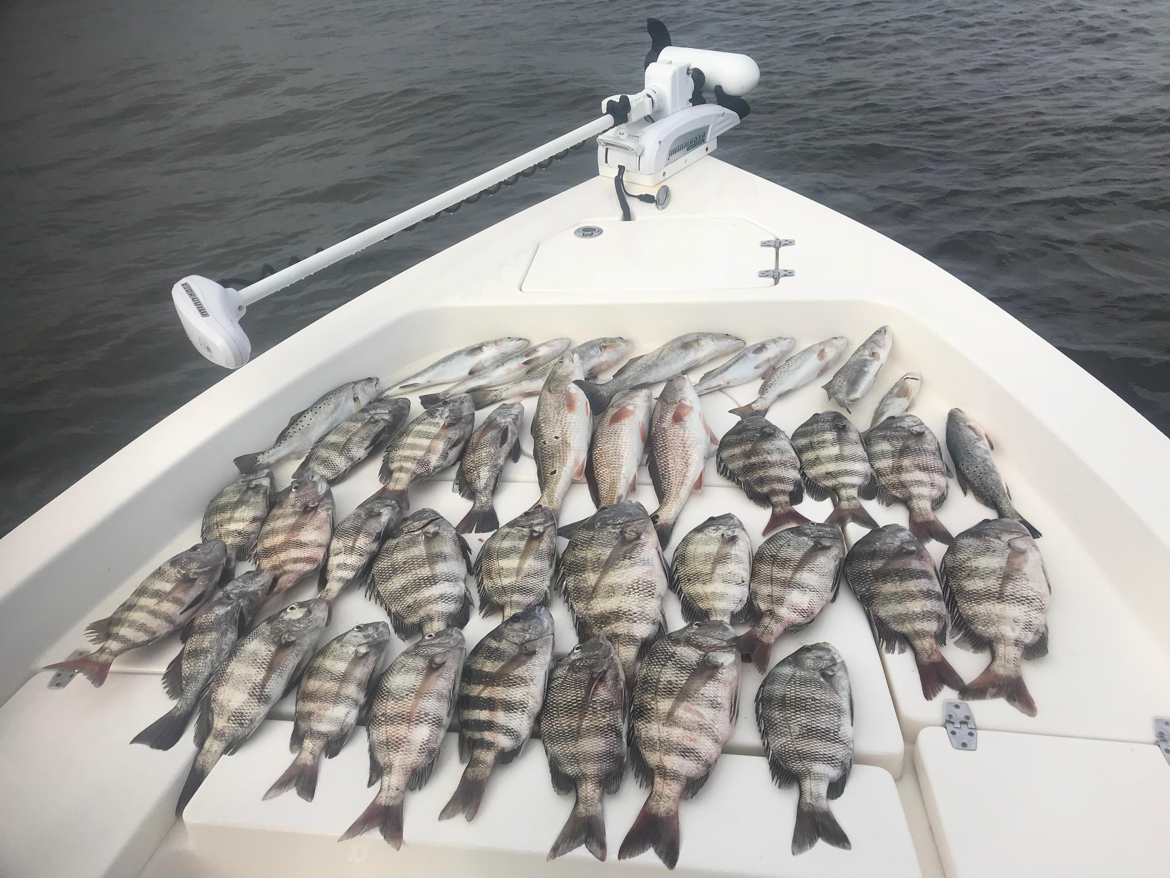 Enterprise Fishing Charters