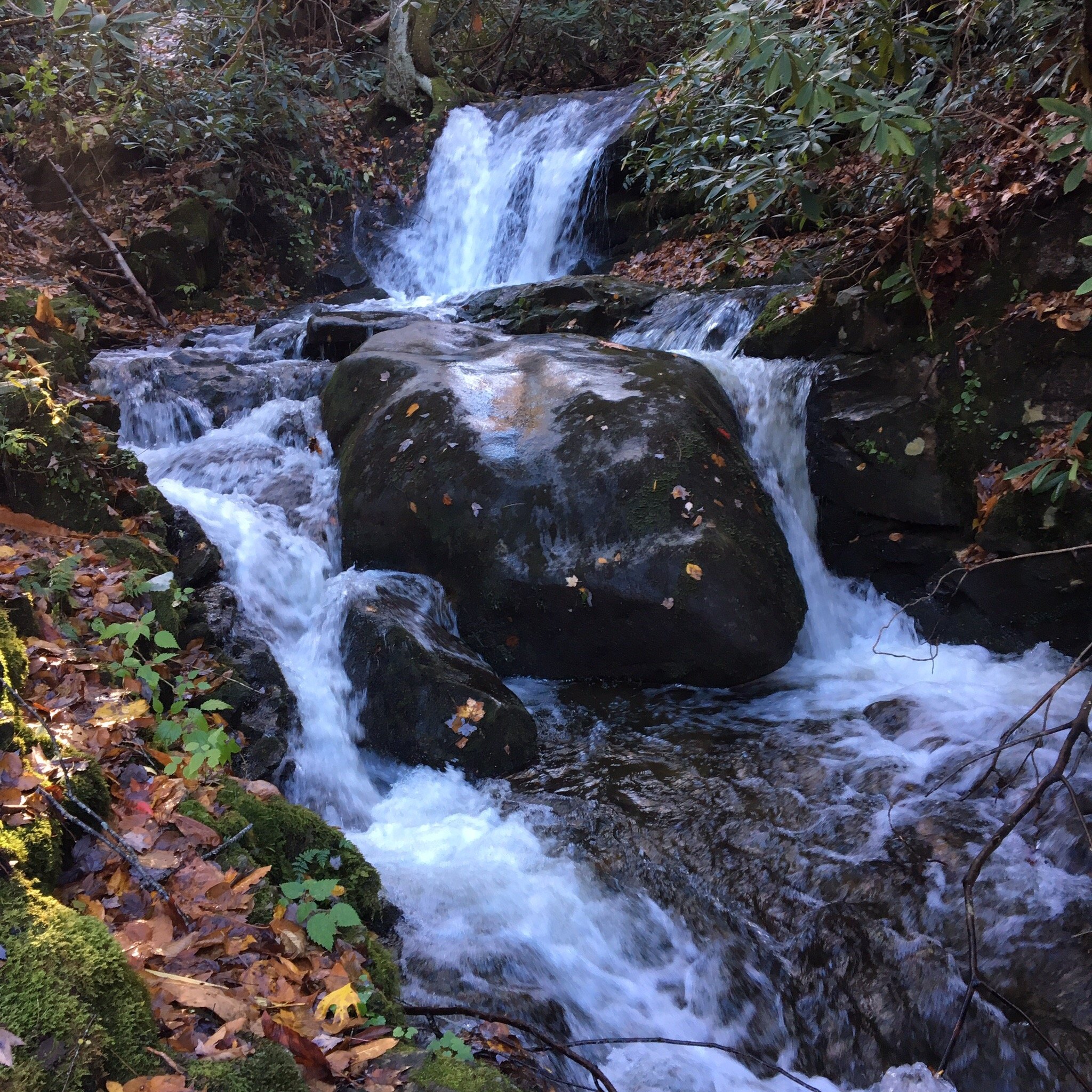 Huskey Branch Falls